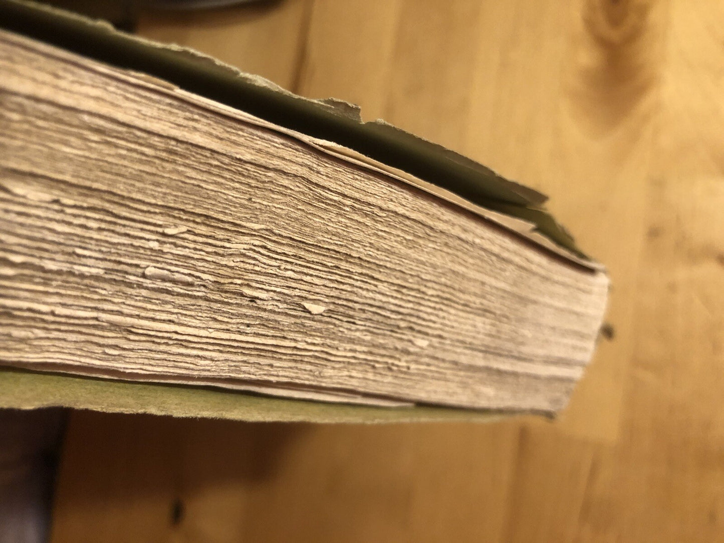 Manfredo Fanti generale d'armata sua vita scritta F. Carandini 1872 G. Civelli