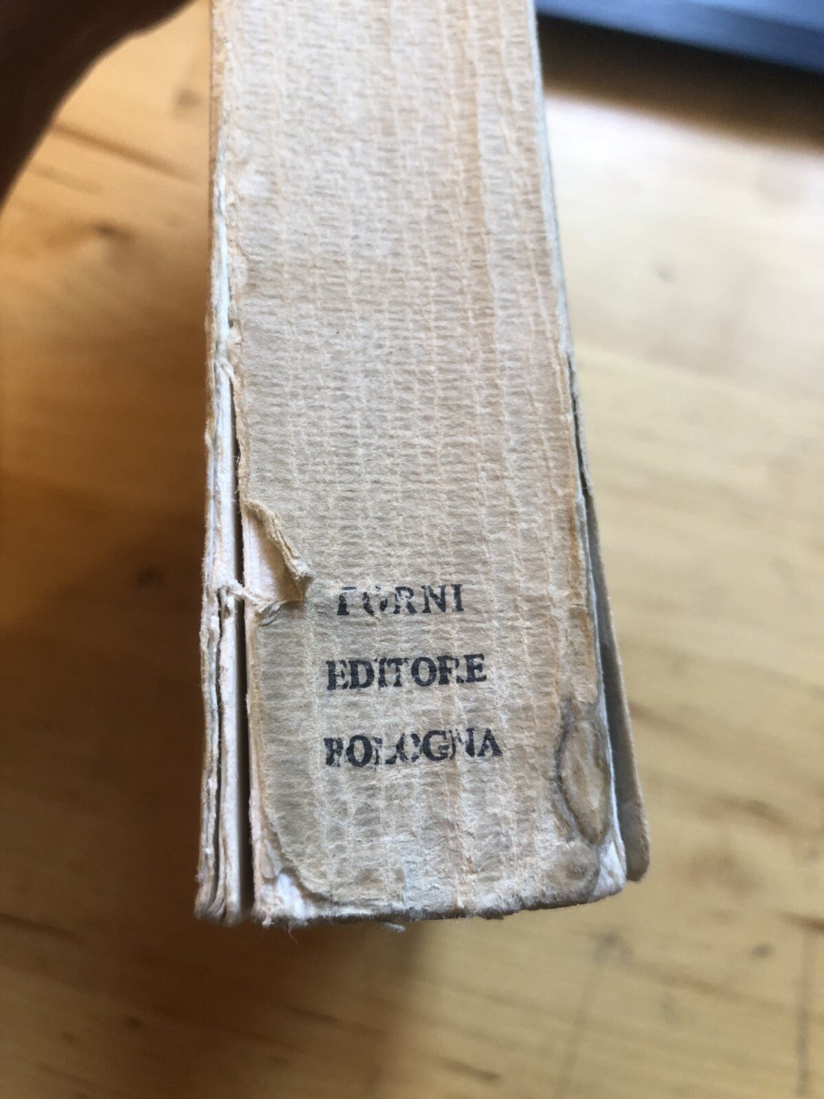 La montagna bolognese del medio evo, Arturo Palmieri. Forni editore rist. 1972