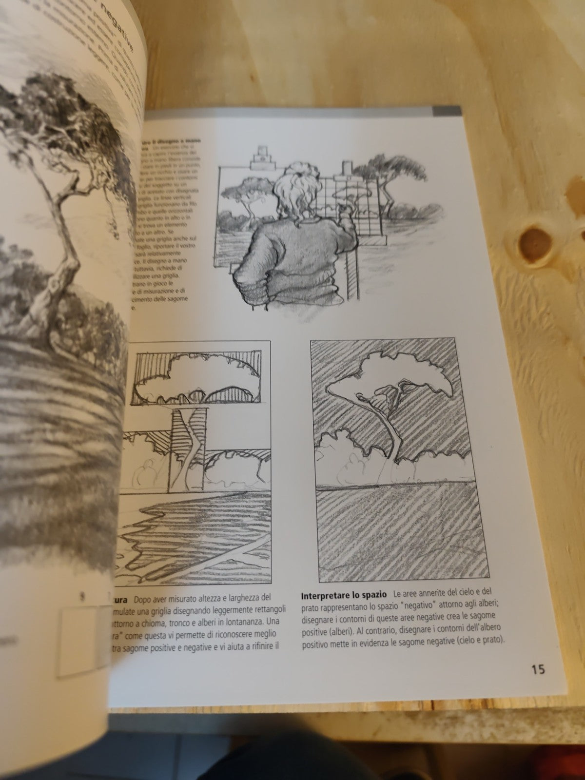 Riconoscere i valori tonali - disegno passo passo, Ken goldman 64 pagine