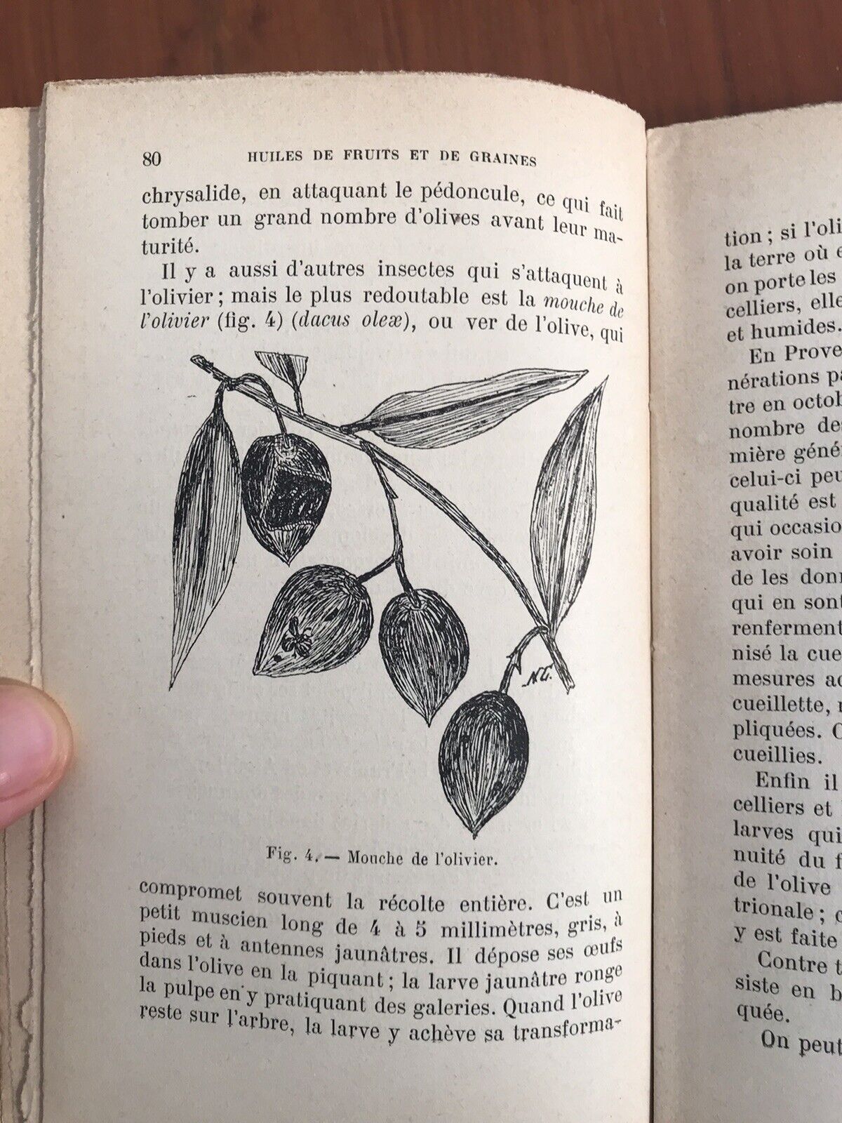 Fabricant et épurateur d' huiles.Encyclopédie roret 2 volumi L. Mulo libraire ed