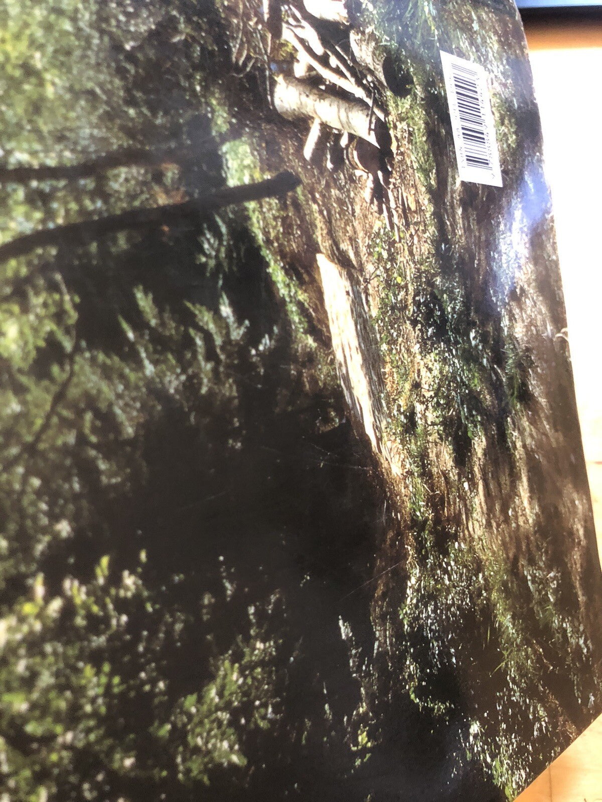 La strada Bologna-Fiesole del II secolo a.c. Flaminia militare, C. Agostini 2000