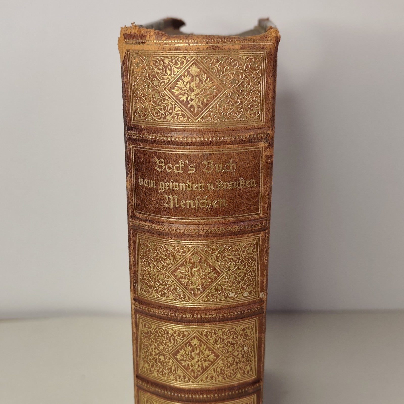 Das Buch vom Gesunden und kranken menschen - Ernst Bock 1889 Antico testo medico