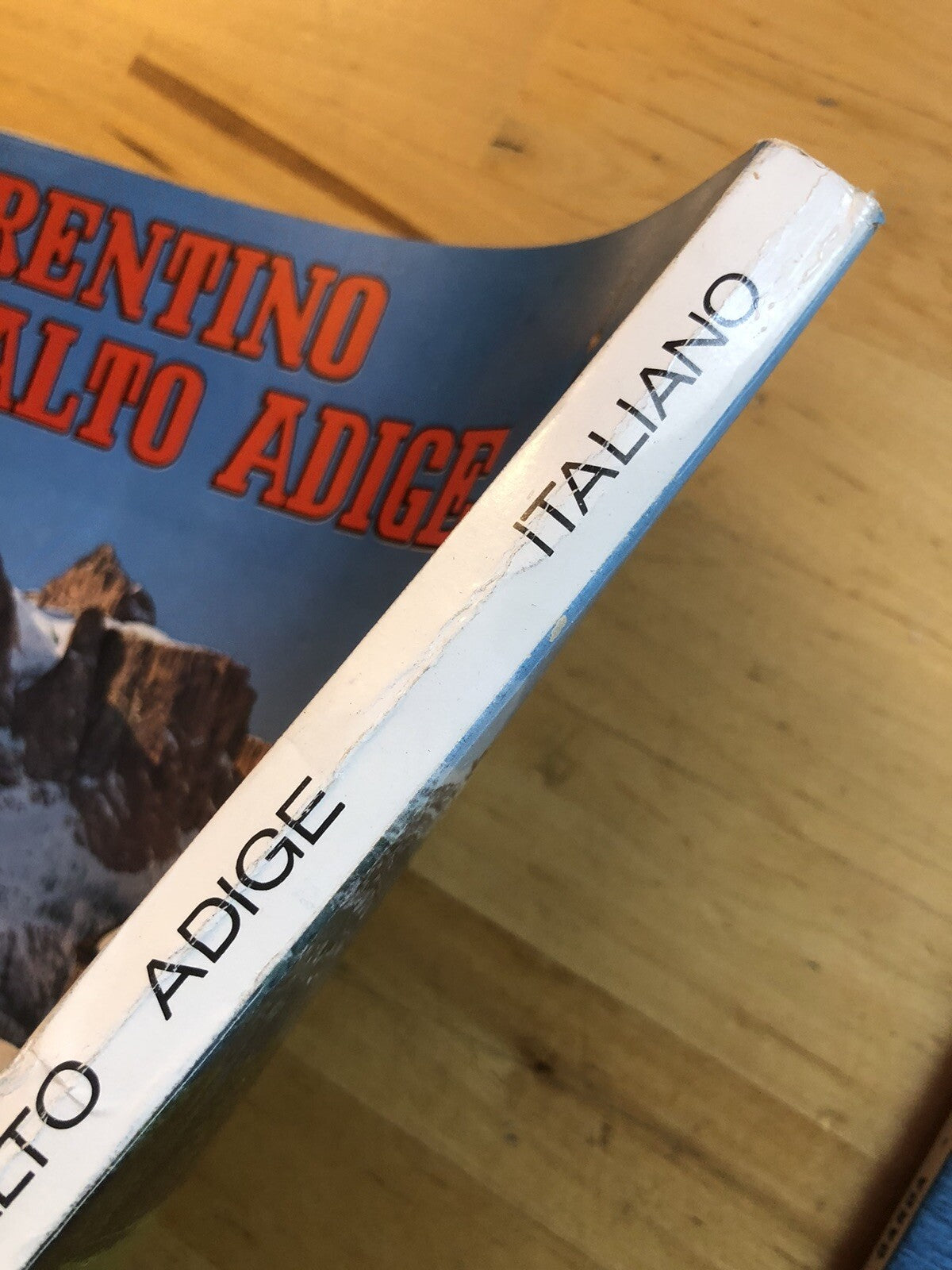 Guida turistica Trentino Alto adige, Lago di Garda