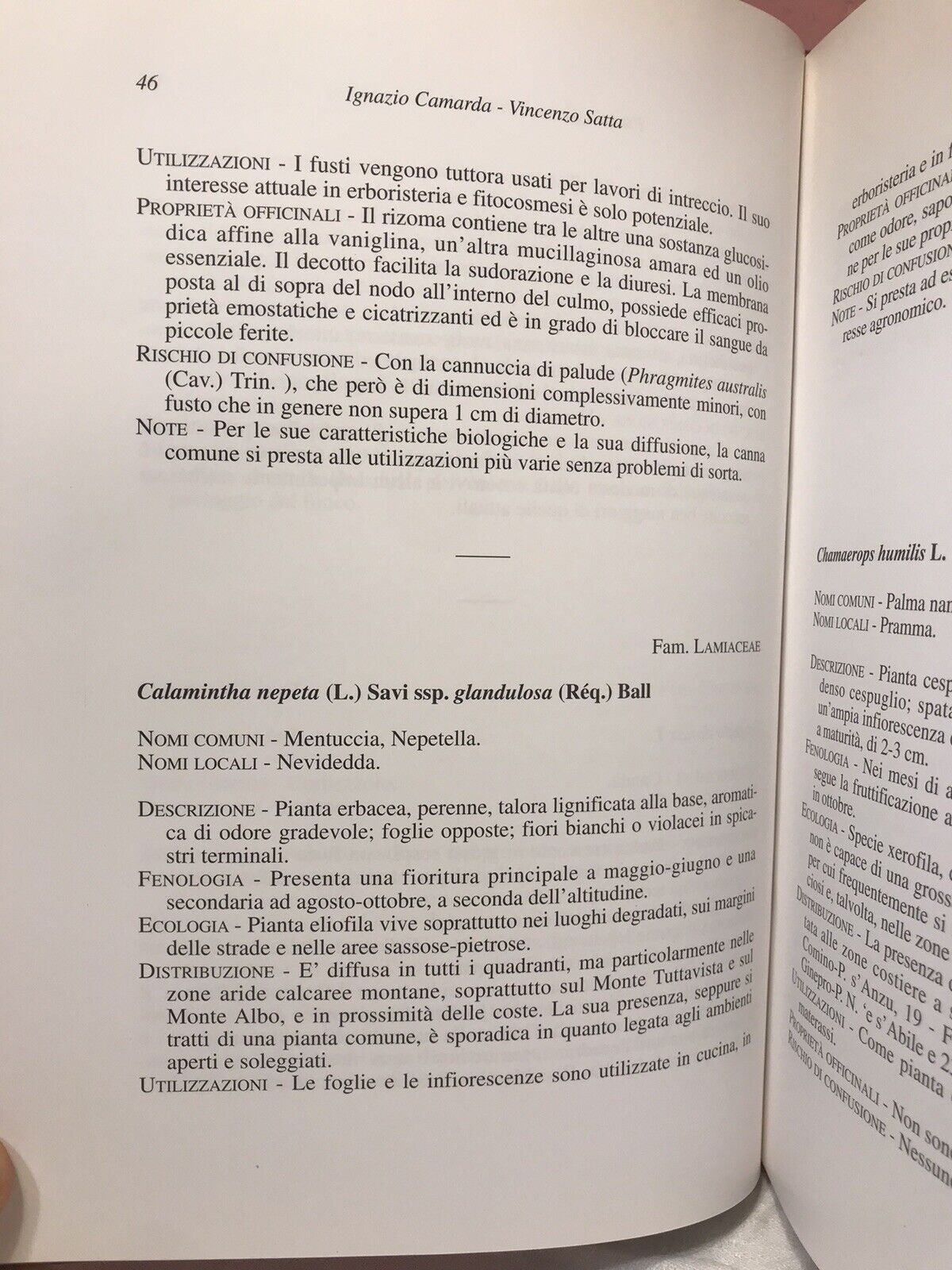 Piante officinali nella comunità montana delle Baronie, J. Camarda, V. Satta