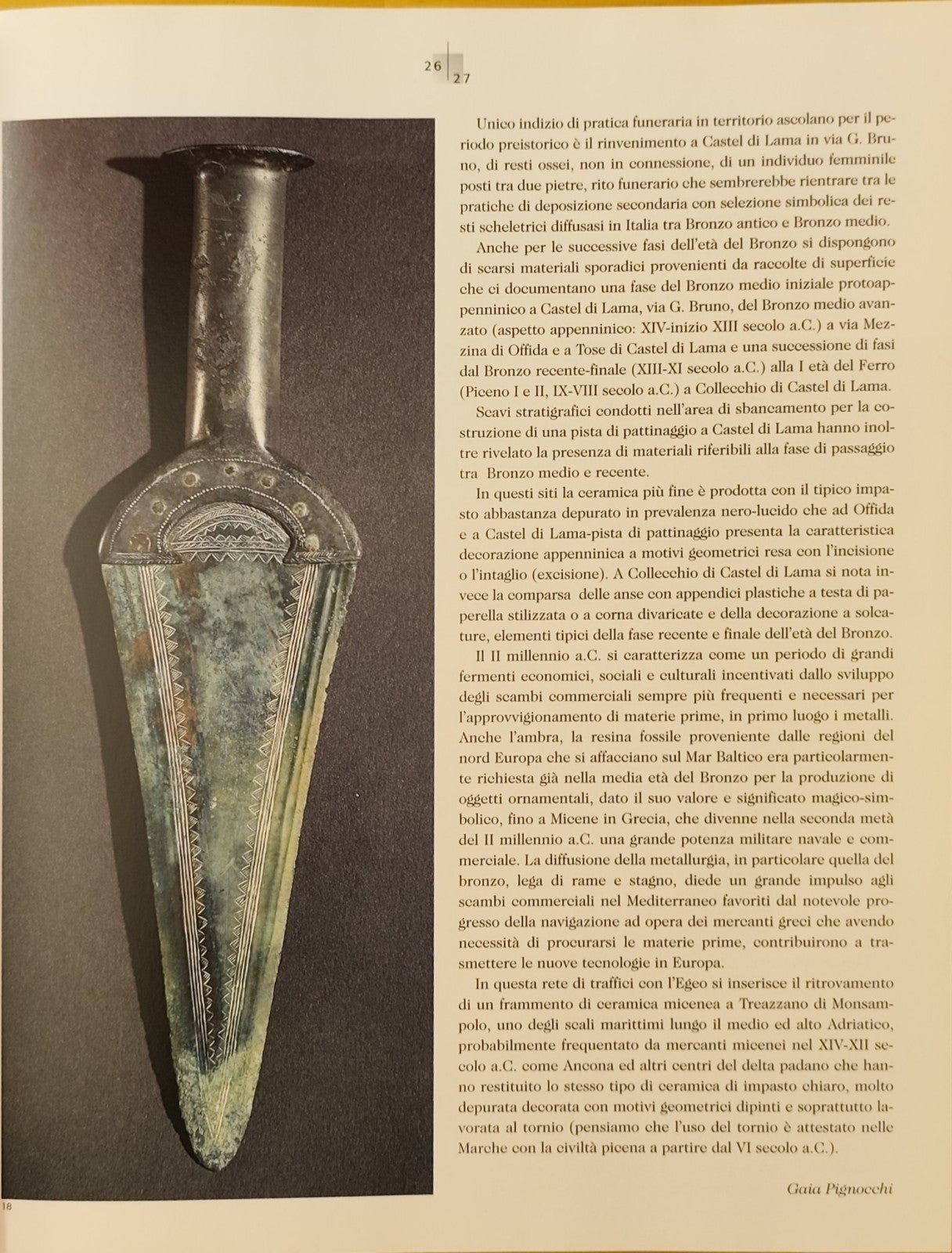 Beni Archeologici Fermo Ascoli Piceno, Giuliano de Marinis, Gianfranco Paci 2000