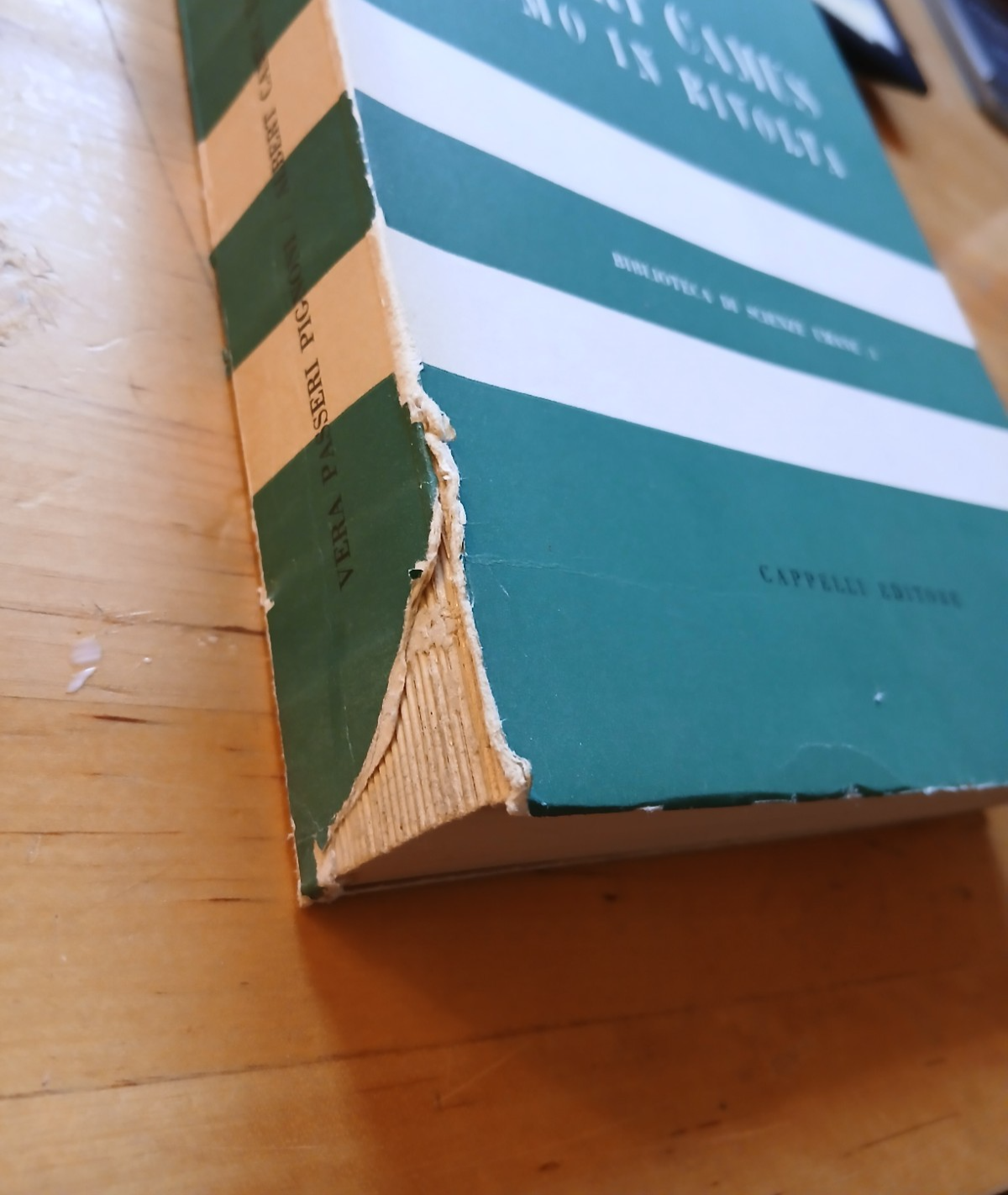 Uomo in rivolta Albert Camus Vera Passeri Pignoni Cappelli ed Scienze Umane 1965