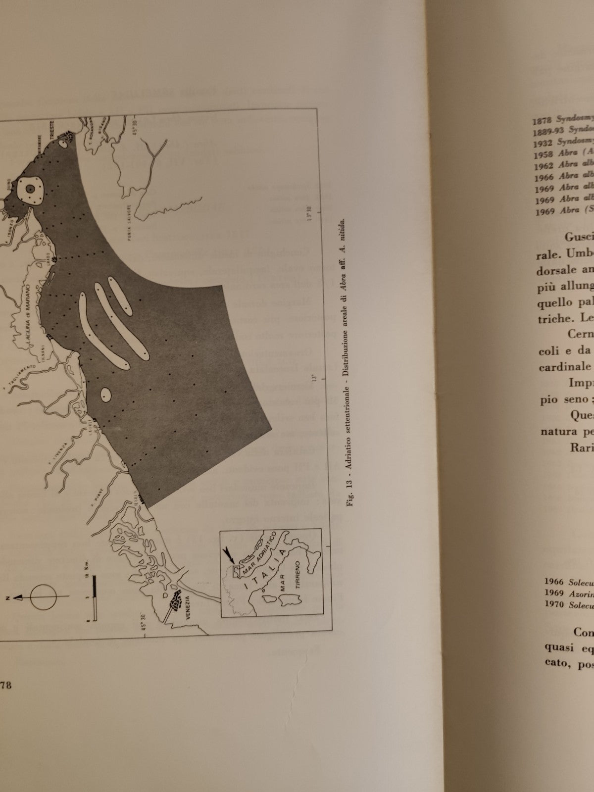 Lamellibranchi recenti Adriatico settentrionale Venezia Trieste - Stolfa Zucchi