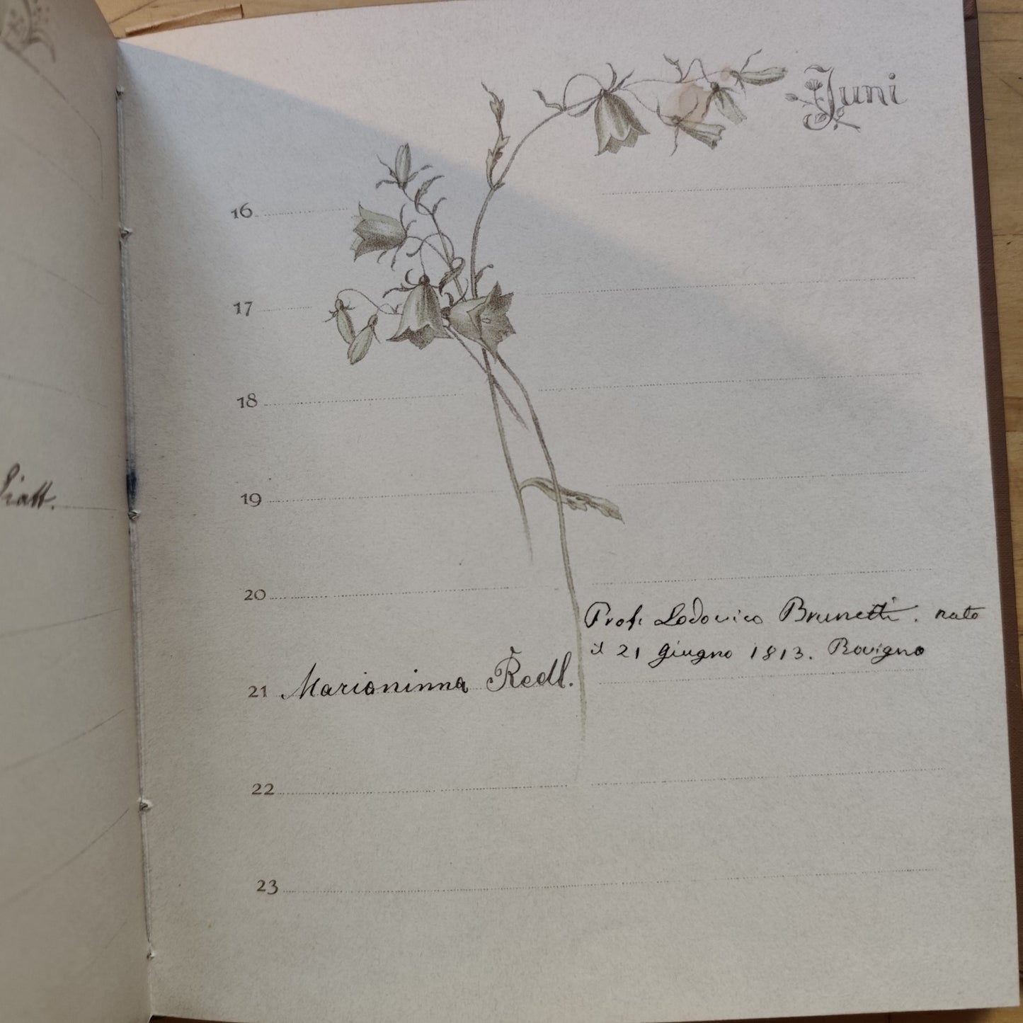 Gedenk Buch fur Jung and Alt - Theo Stroefers ed. Munchen - 1880 ca.