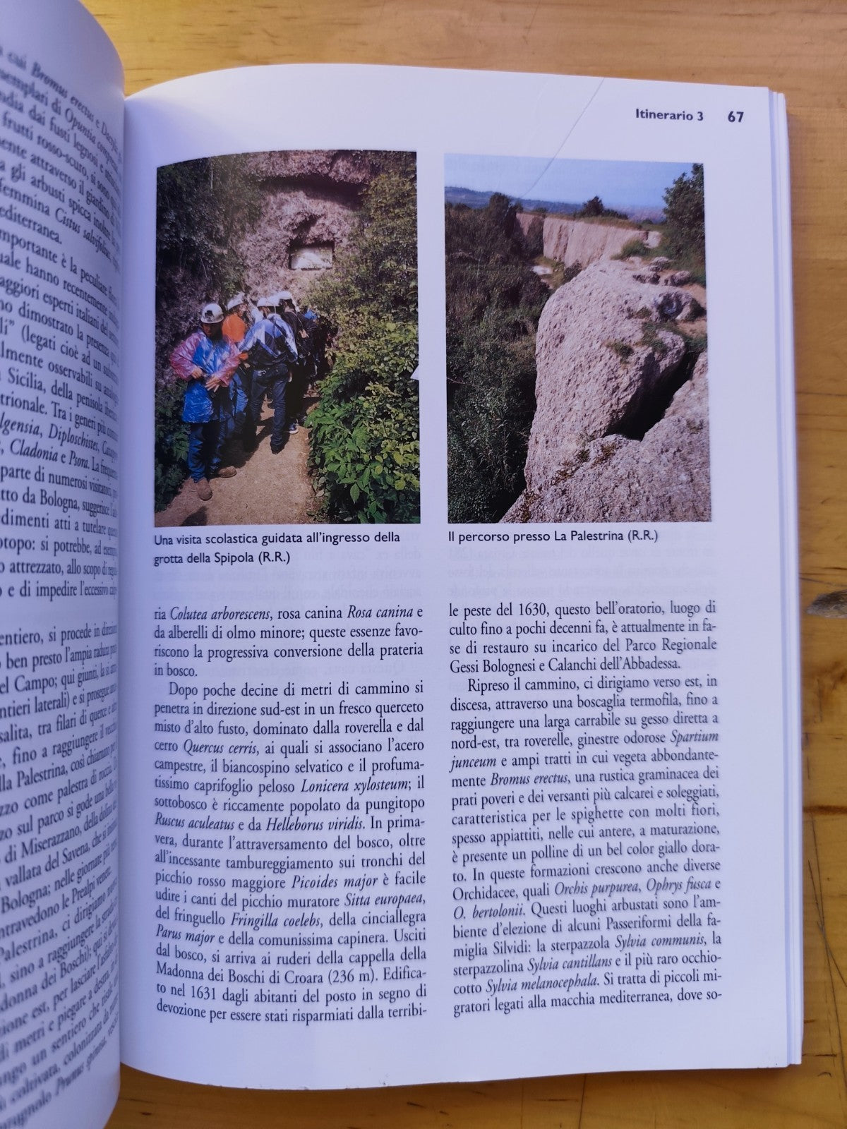Escursioni Appennino Bolognese paesaggi e parchi dalla collina alla montagna