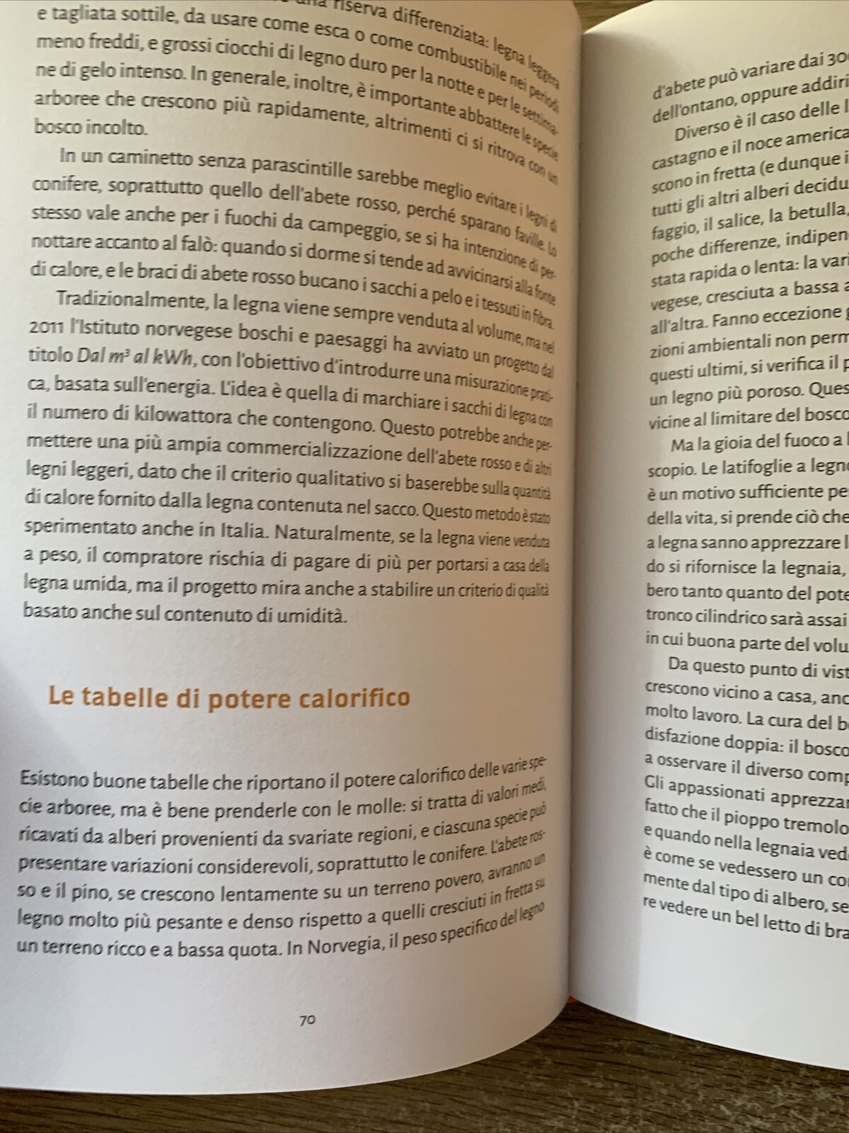 NORWEGIAN WOOD Lars Mytting. il metodo scandinavo per tagliare accatastare UTET