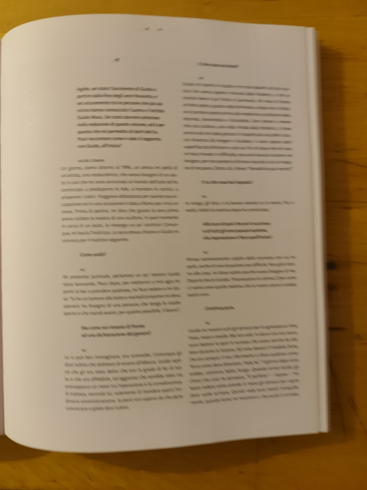 Guido Anton Musso uno sguardo altrove - Andrea Maistrello - Athesia ed. 2013