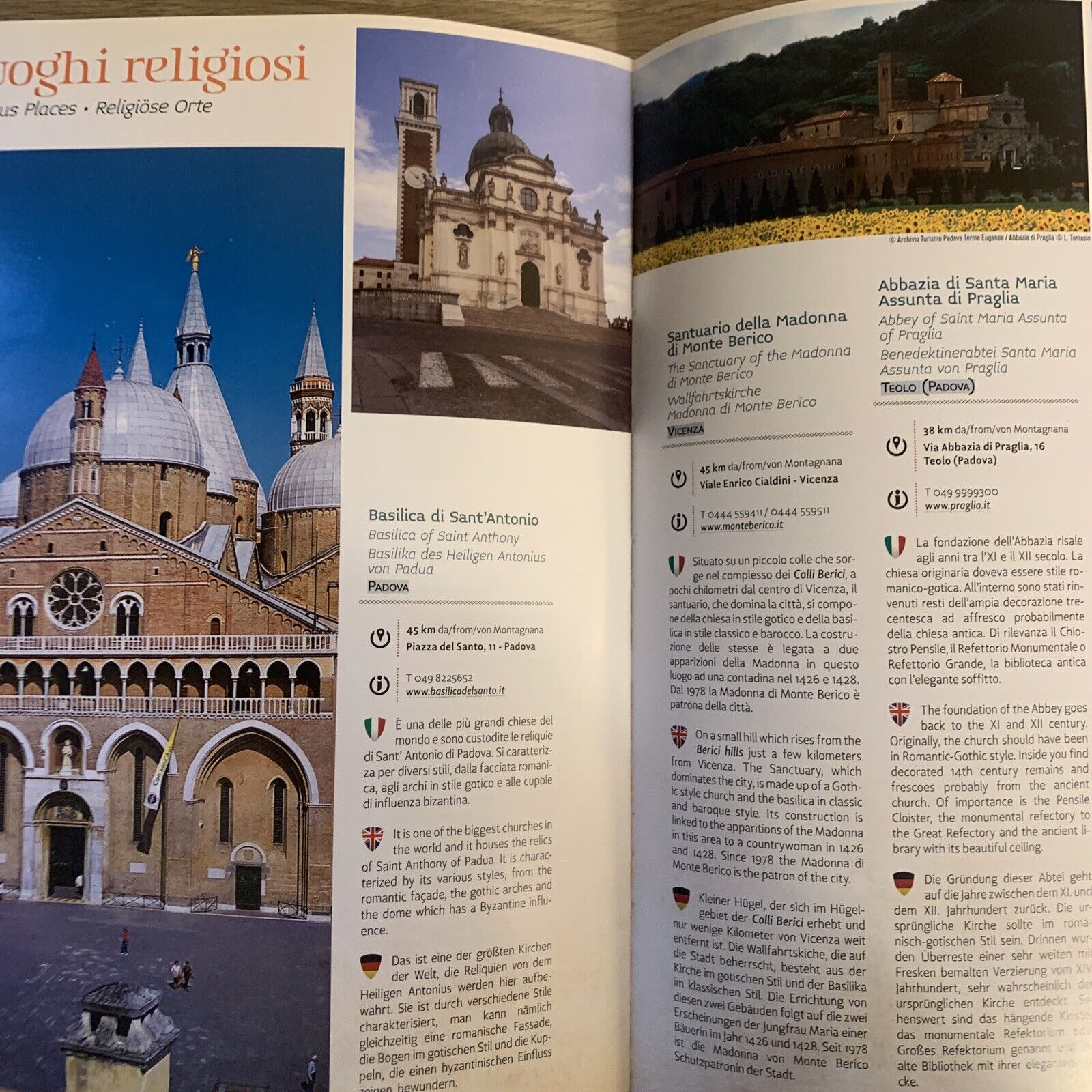 MONTAGNANA, MEDIOEVO DA SCOPRIRE 2014