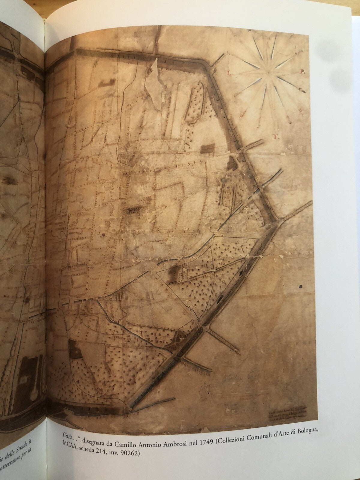 Il sistema delle acque a Bologna dal XIII al XIX secolo, Angelo Zanotti 2000