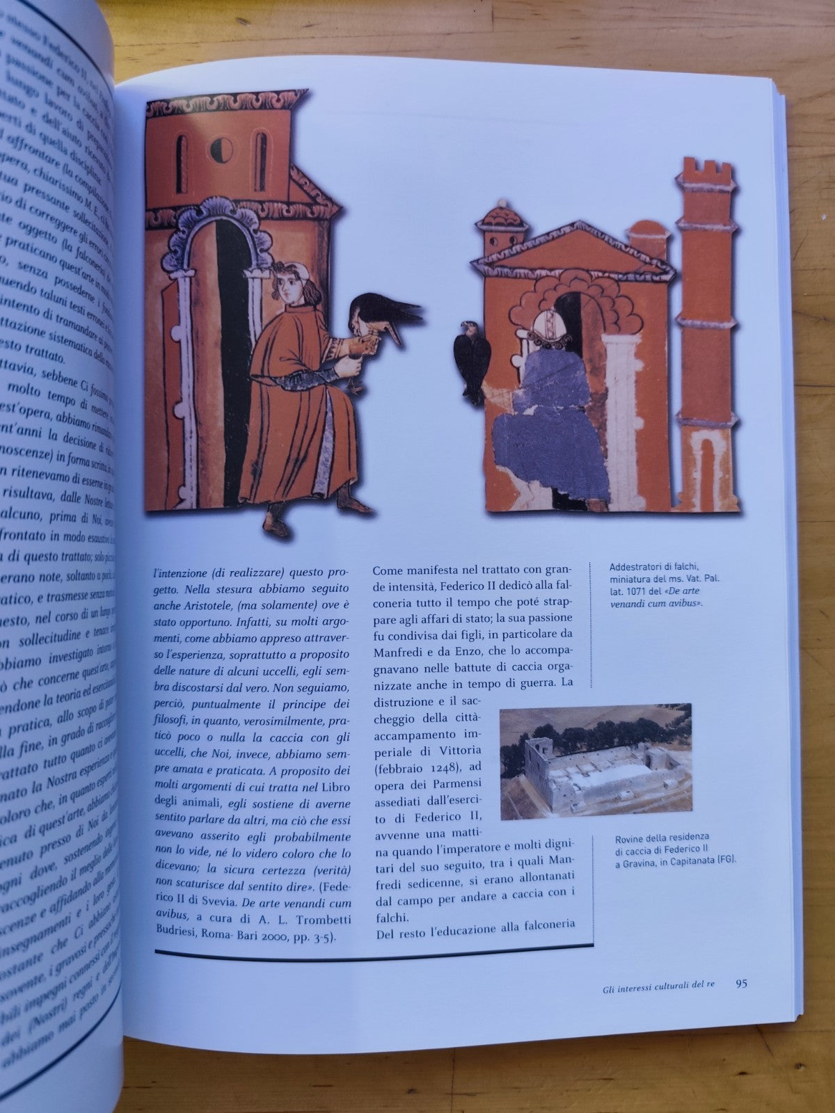 Bologna Re Enzo e il suo mito. A. L. Trombetti Budriesi, CLUEB 2002