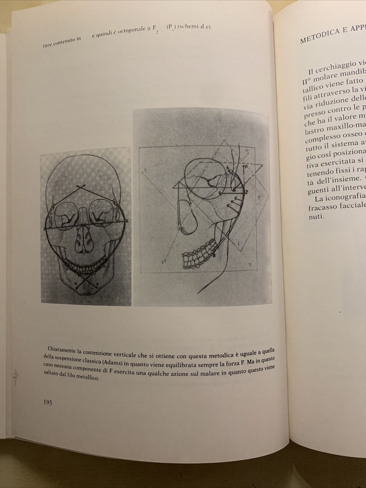 Omaggio a Paride Stefanini - Istituto Universitario di Medicina e Chirurgia 1982