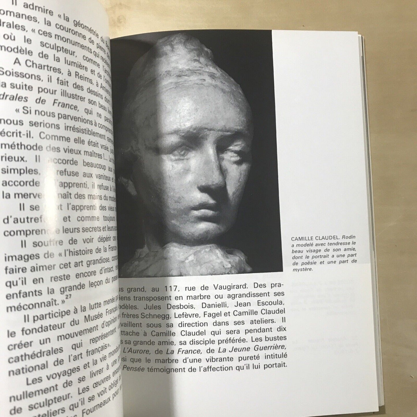 RODIN - Ionel Jianou, C. Goldscheider 1990