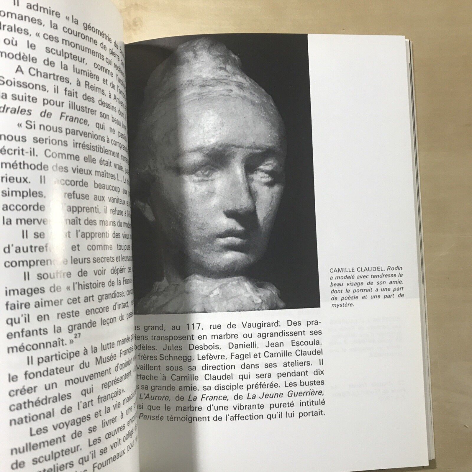 RODIN - Ionel Jianou, C. Goldscheider 1990