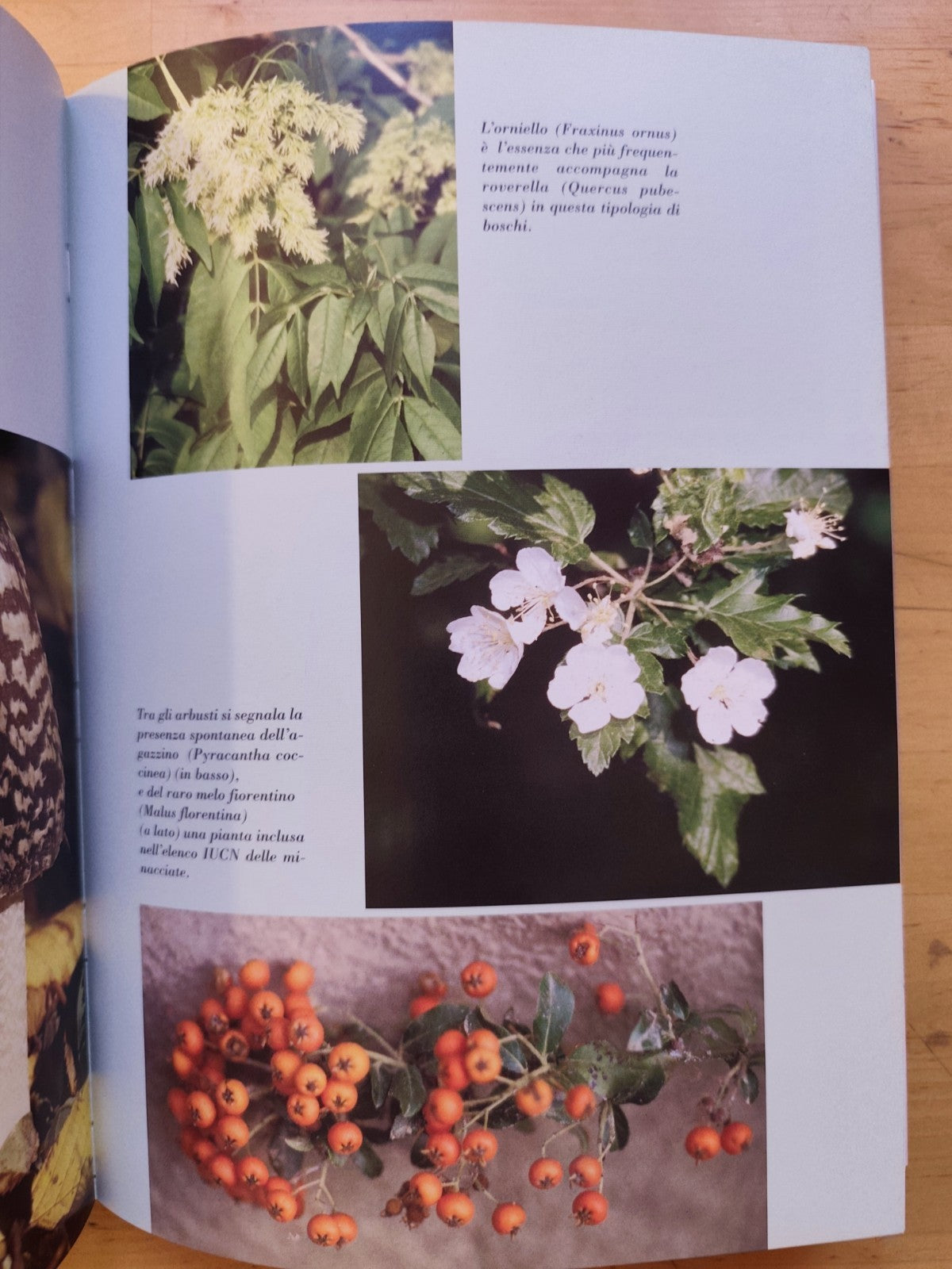 C'era una volta il mare. . . natura e storia tra il Sasso e il Monte delle Formi