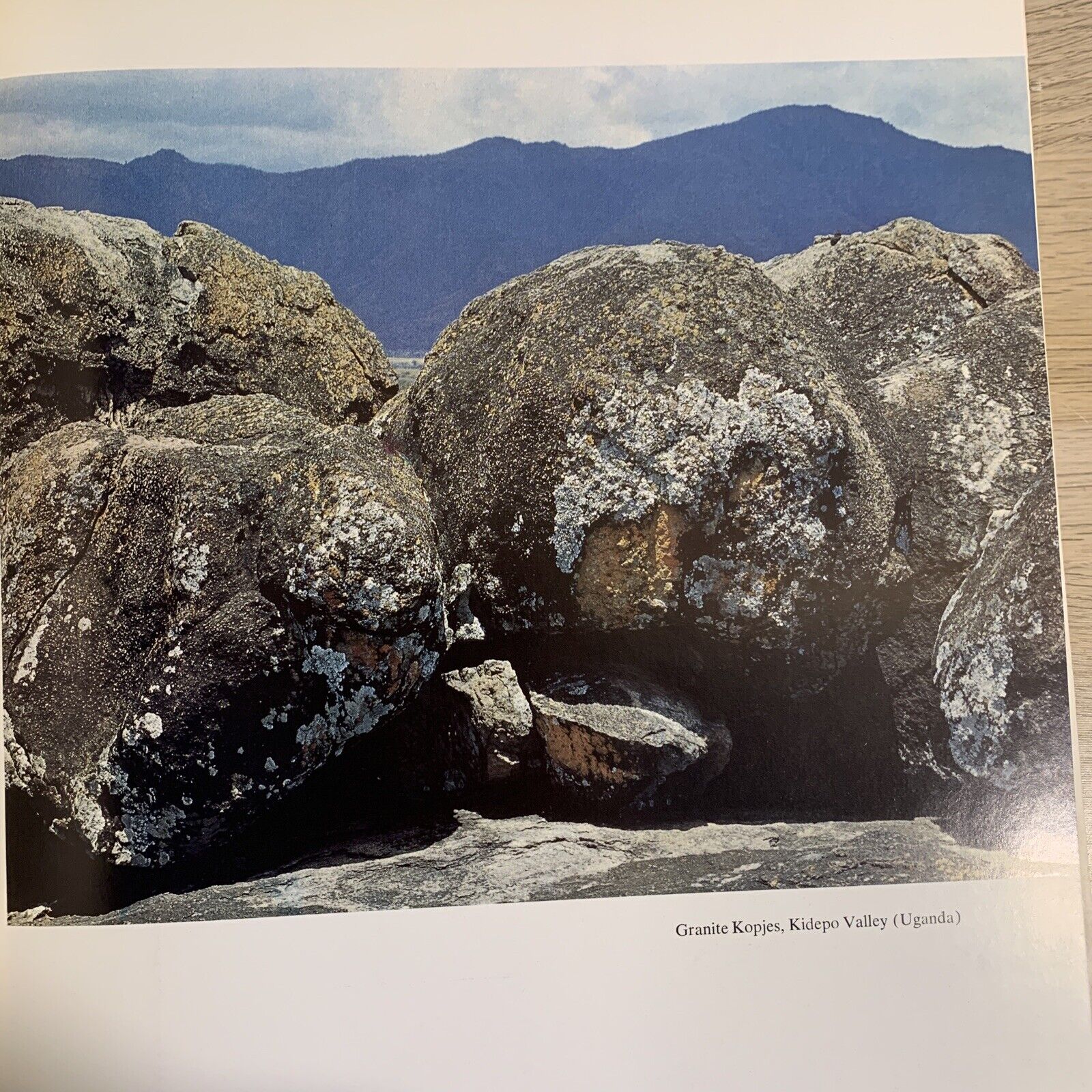 PETER MATTHIESSEN - THE TREE WHERE MAN WAS BORN. ELIOT PORTER , THE AFRICAN EXPE