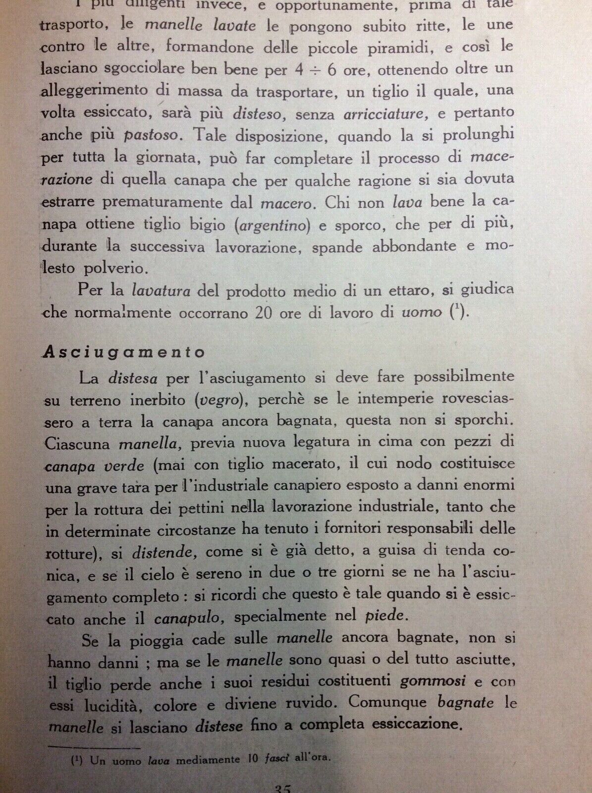 LA LAVORAZIONE RUSTICA DELLA CANAPA DAL TAGLIO ALLA STADERA - G. RAGAZZI 1950
