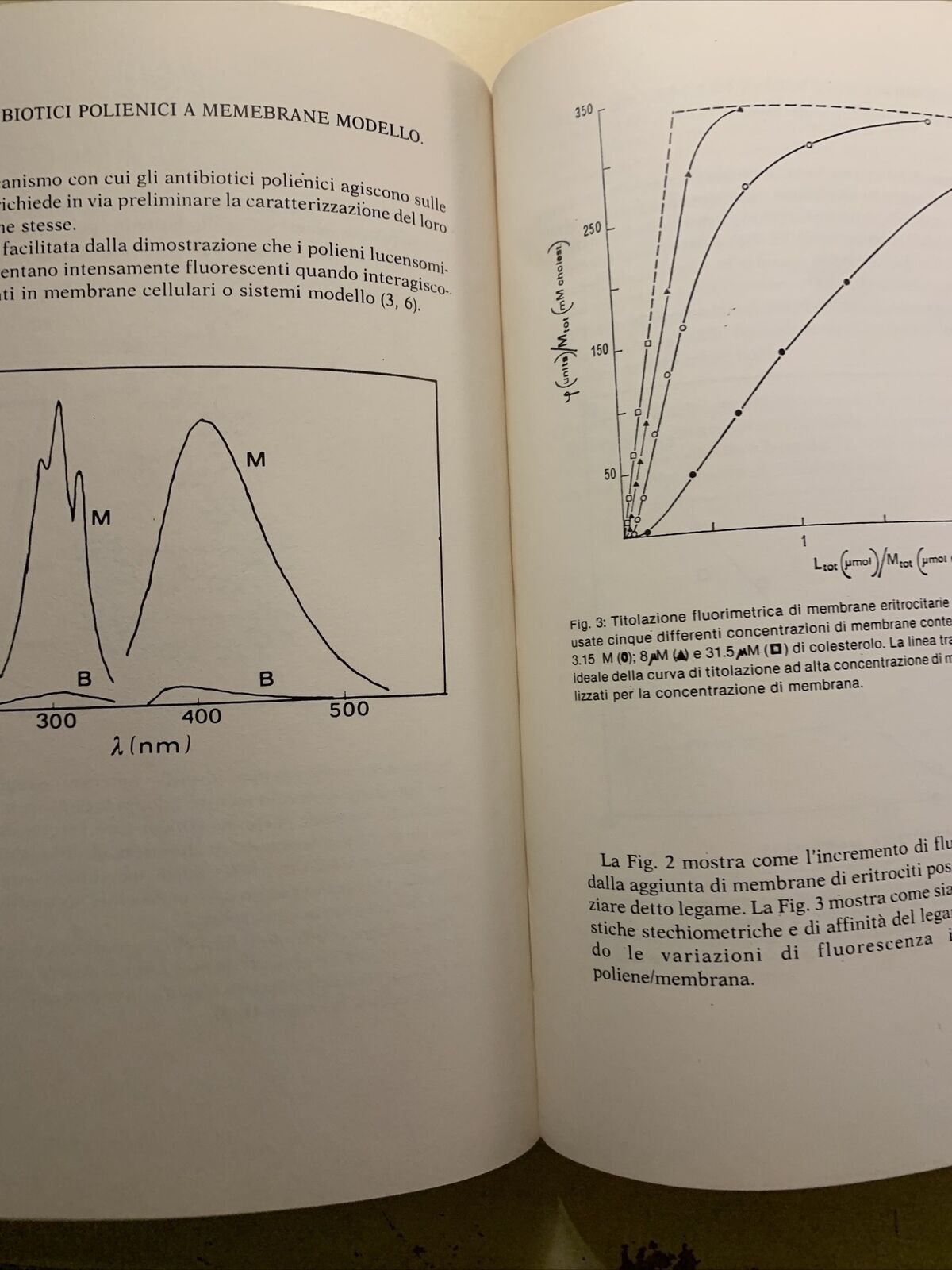Omaggio a Paride Stefanini - Istituto Universitario di Medicina e Chirurgia 1982
