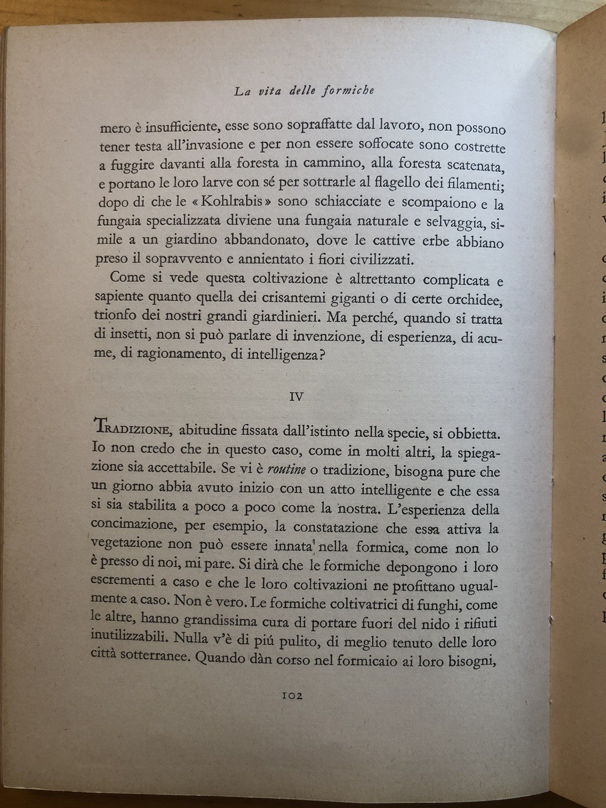 La vita delle formiche, Maurice Maeterlinck. Mondadori 1932