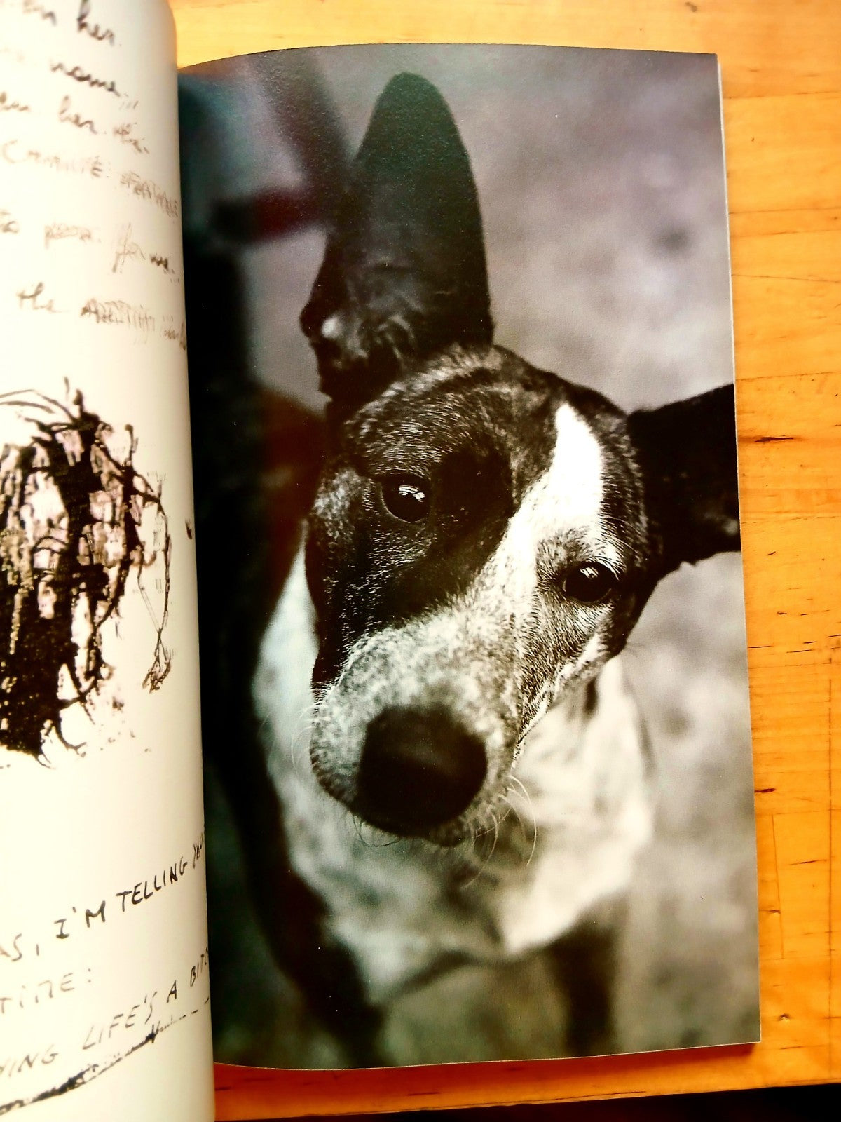Sisley diary - the nights of Berlin. Autumn winter 1995 portrayed by Magnus Reed