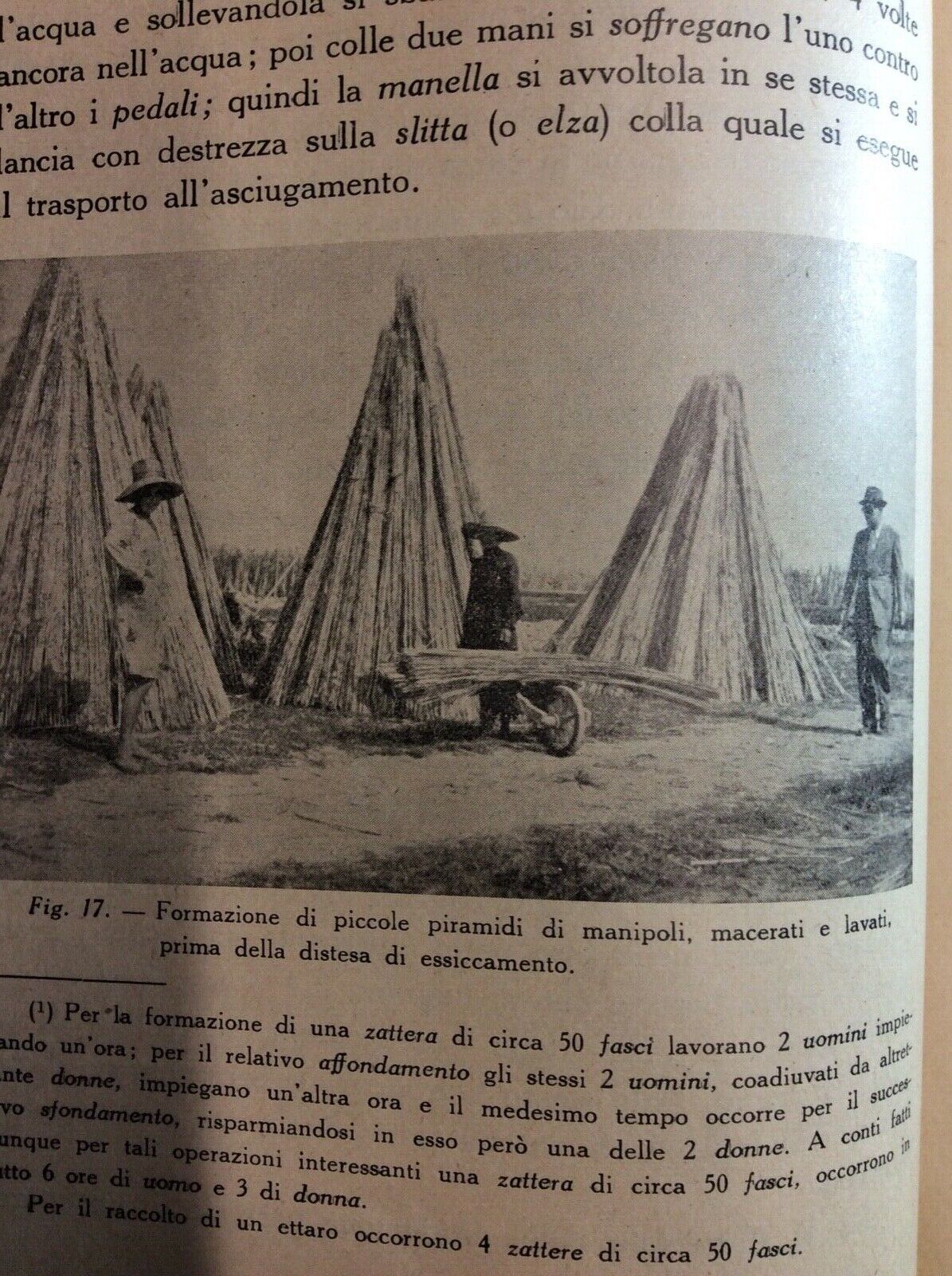 LA LAVORAZIONE RUSTICA DELLA CANAPA DAL TAGLIO ALLA STADERA - G. RAGAZZI 1950