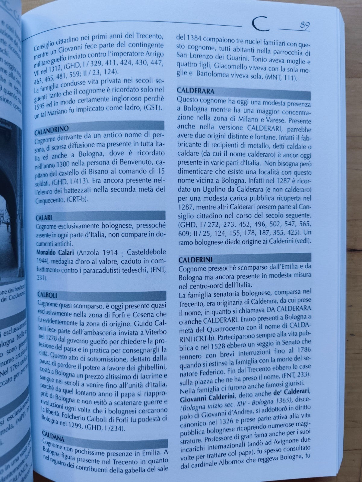 Cognomi del territorio di Bologna - Le grandi famiglie di Bologna, Tiziano Costa