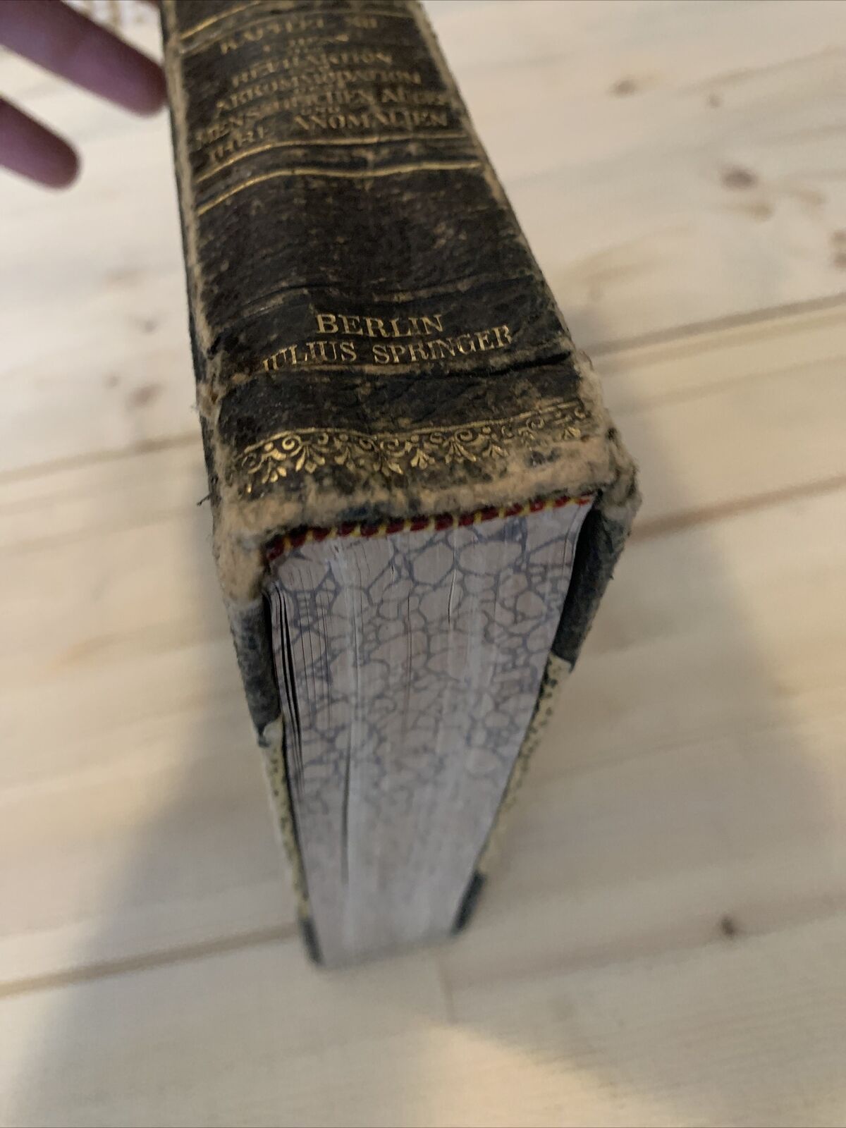 graeffe saemisch handbuch der gesamen augenheilkunde 1910 #