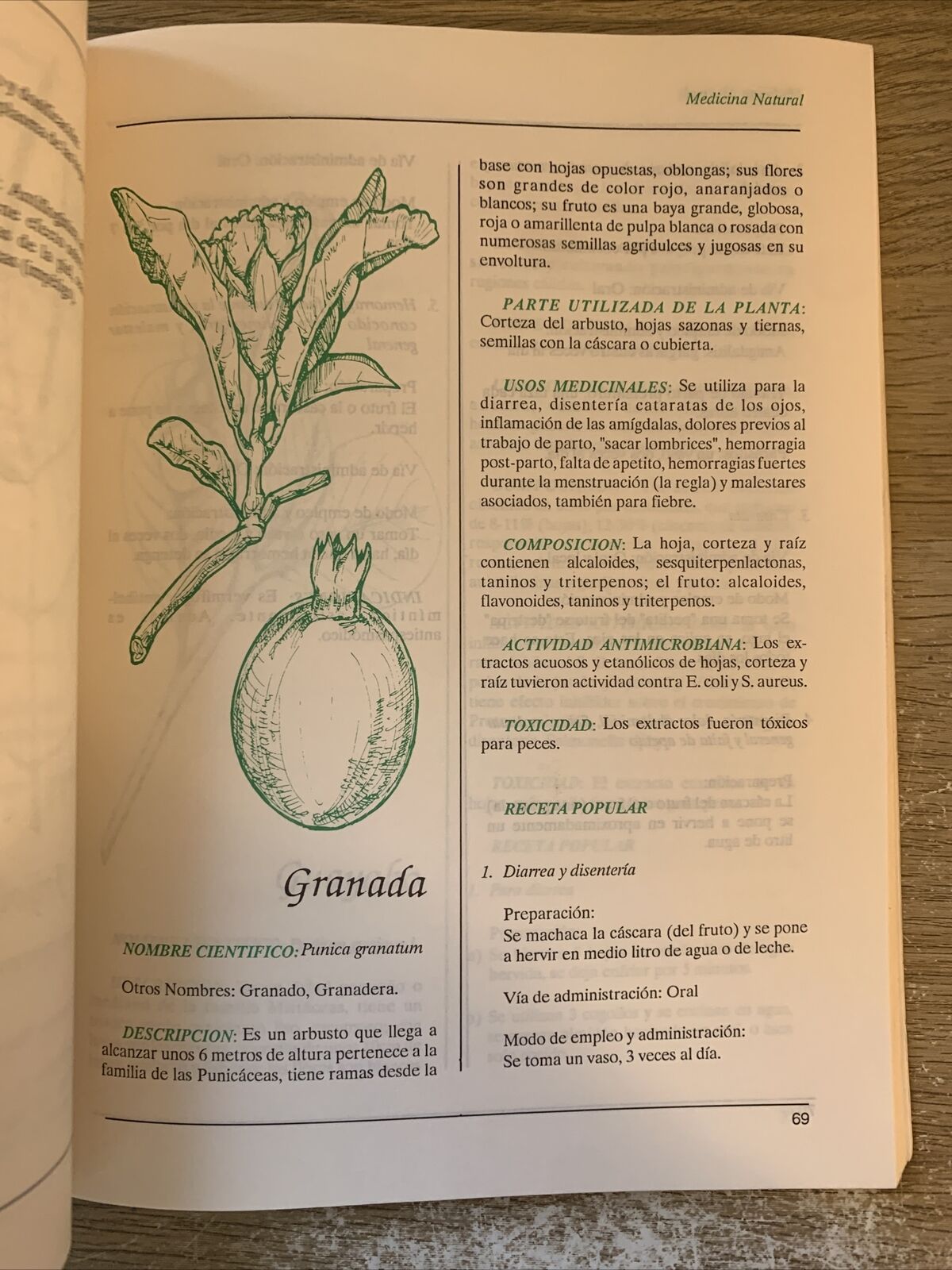 Plantas de uso Medicinal en centro America. Piante medicinali de centro America