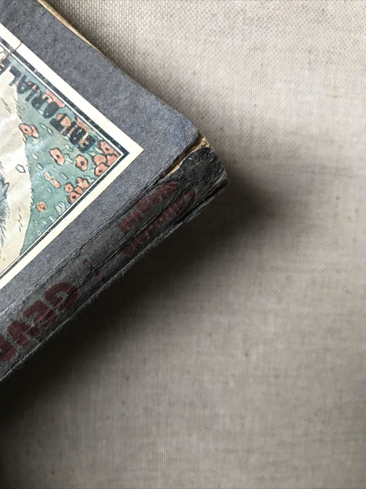 Geva e Nerolino - Romanzo per fanciulli. Egle Grimozzi, editoriale Biagini 1923