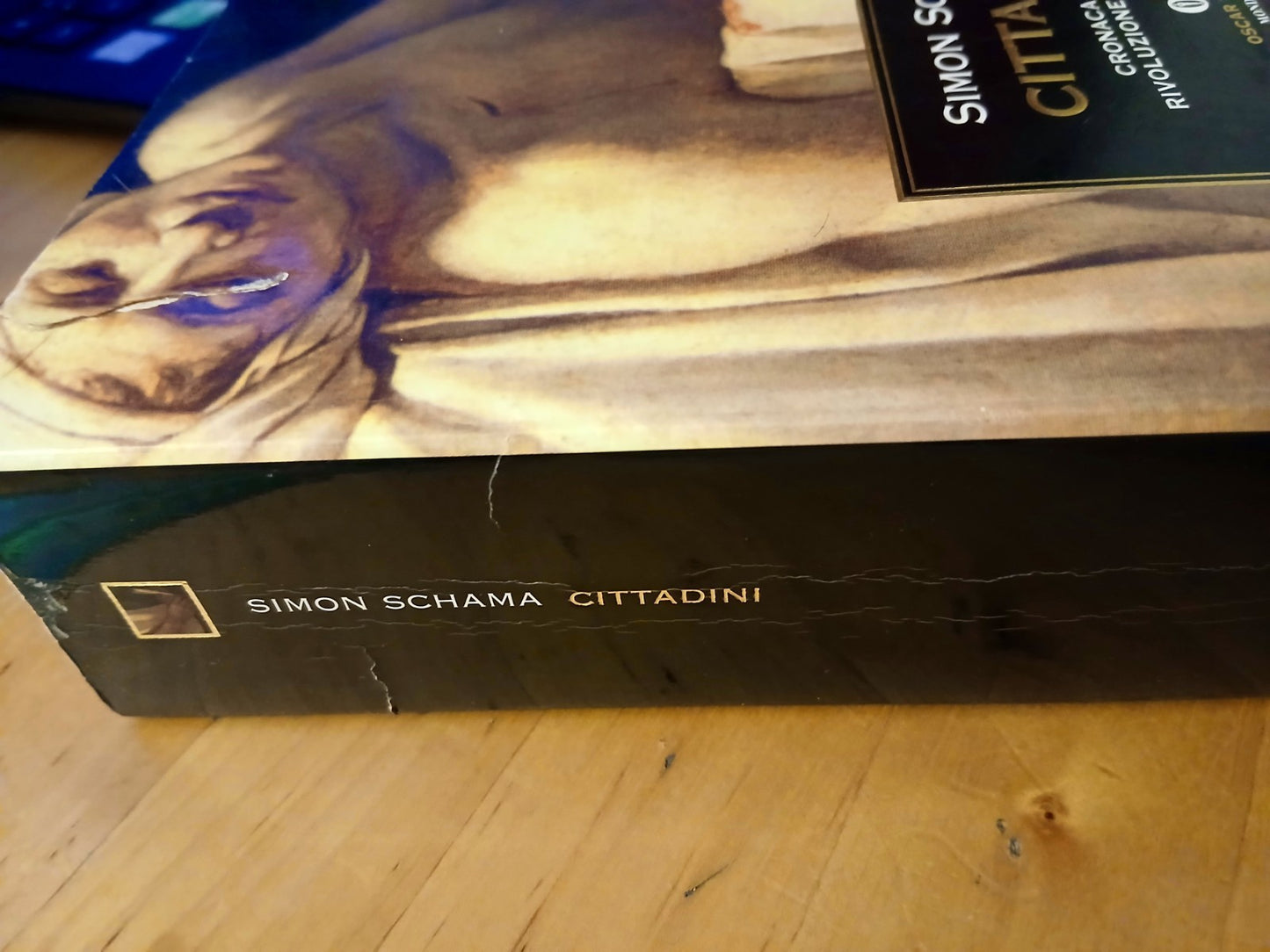 Cittadini - cronaca della rivoluzione francese - Simon Schama - Mondadori 1999