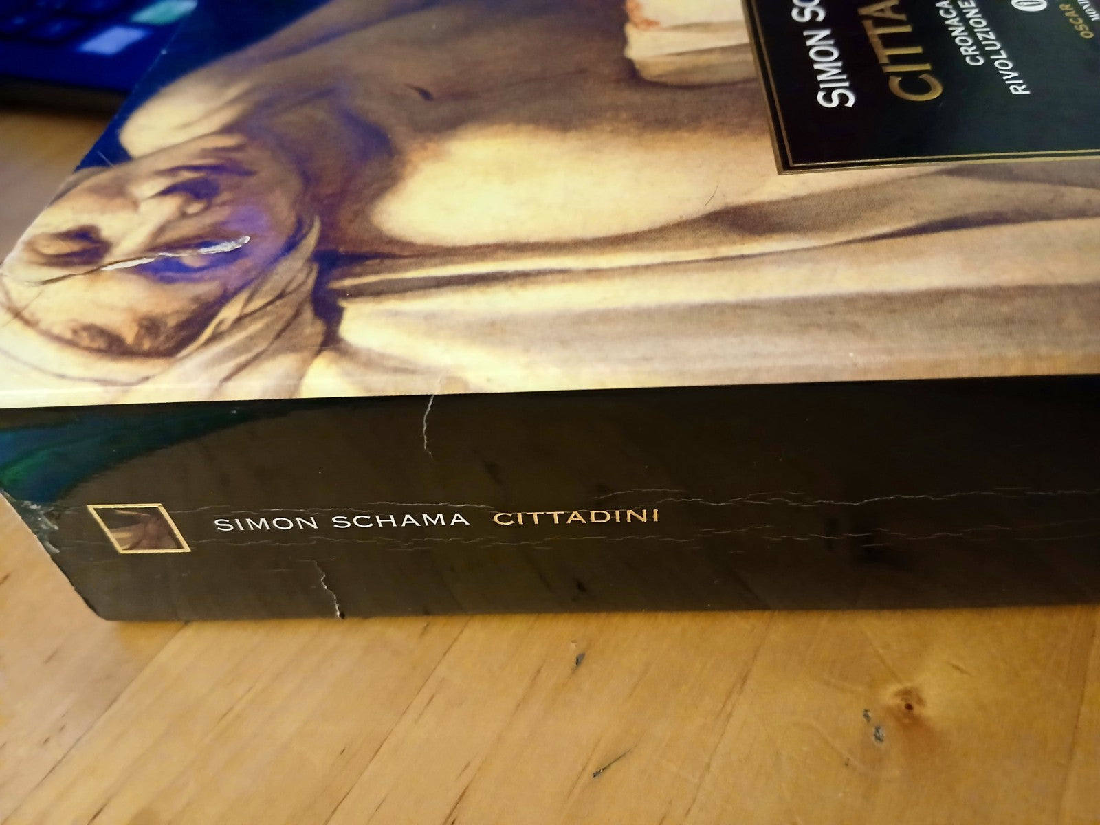 Cittadini - cronaca della rivoluzione francese - Simon Schama - Mondadori 1999
