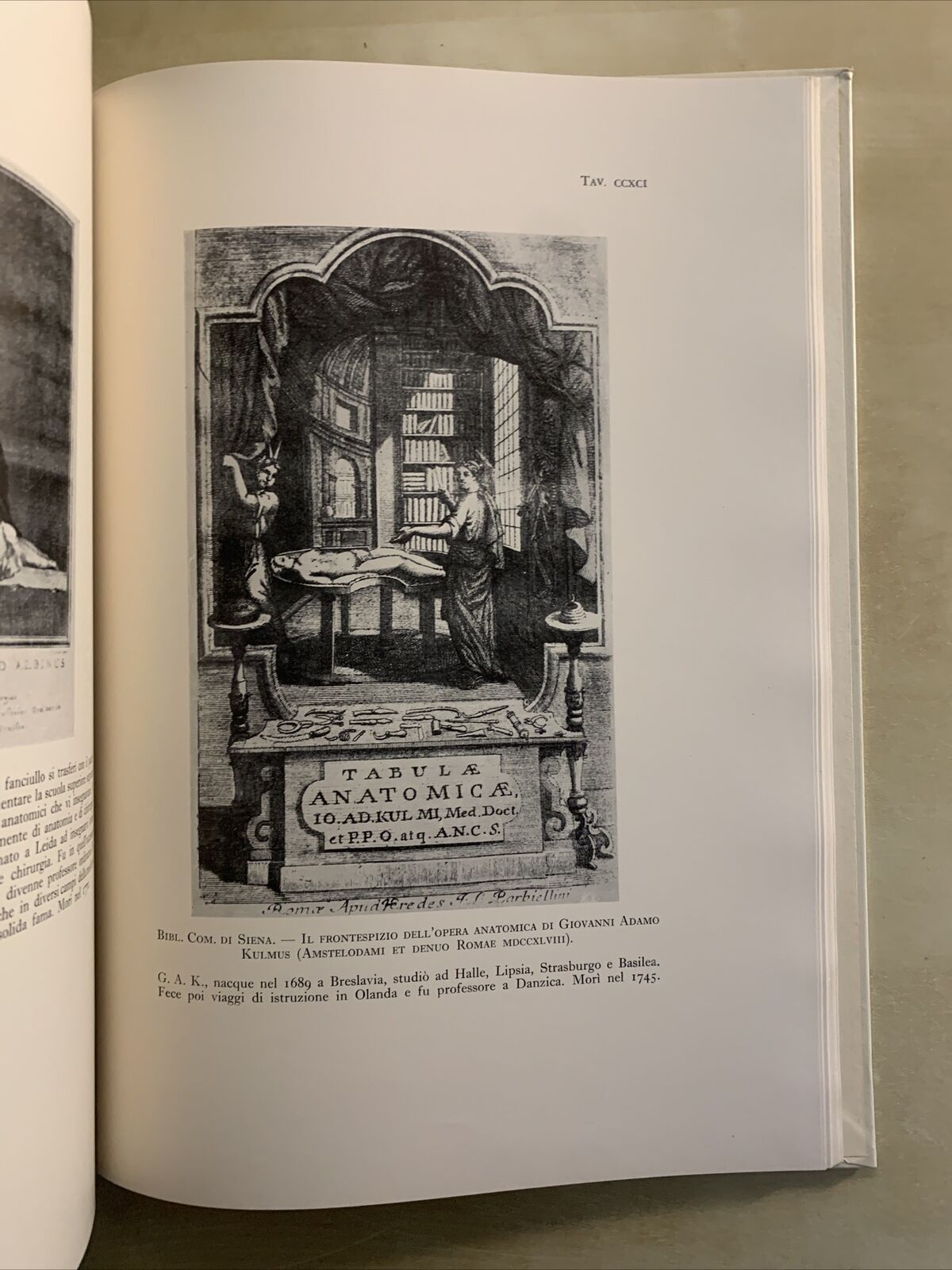 INTER ARTIUM ET MEDICINAE DOCTORES - ALCIDE GAROSI. OLSCHKI EDITORE #