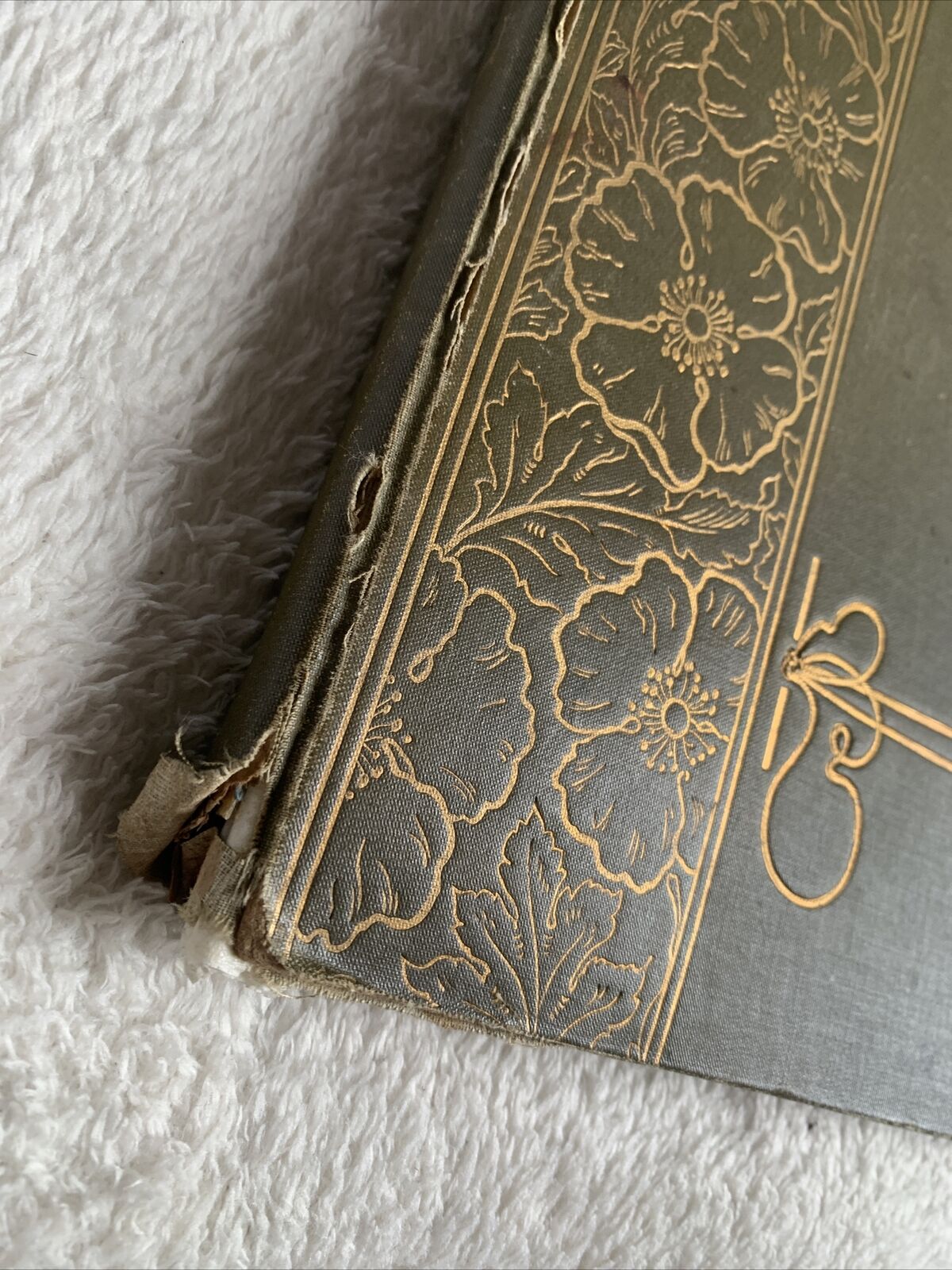 L. MAROLD ALBUM. MUNCHEN, BRAUN AND SCHNEIDER