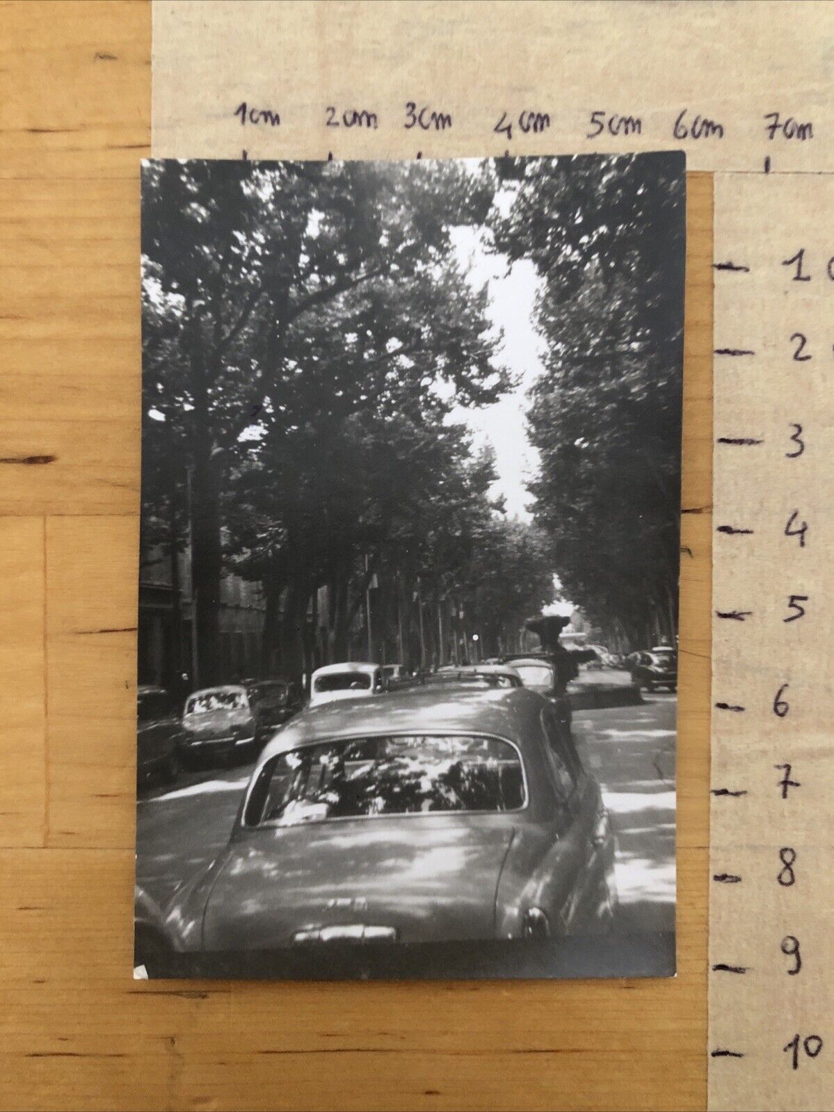 Fotografie AIX EN PROVENCE fontana - viale. anni '50
