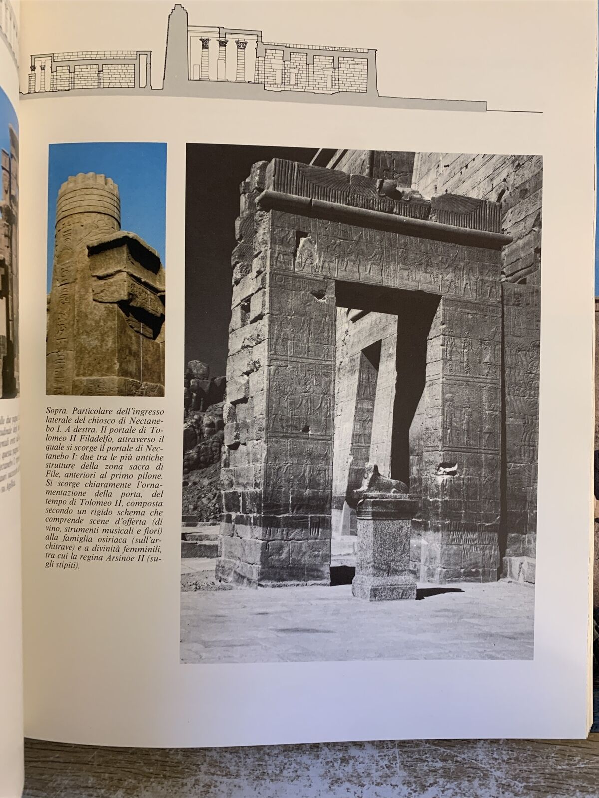 FILE - STORIA E VITA DI UN SANTUARIO EGIZIO. GIAMMARUSTI, ROCCATI 1980