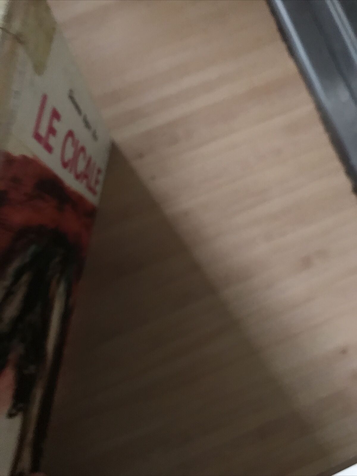LE CICALE - Giovanna Righini Ricci - Editrice Ponte Nuovo 1971