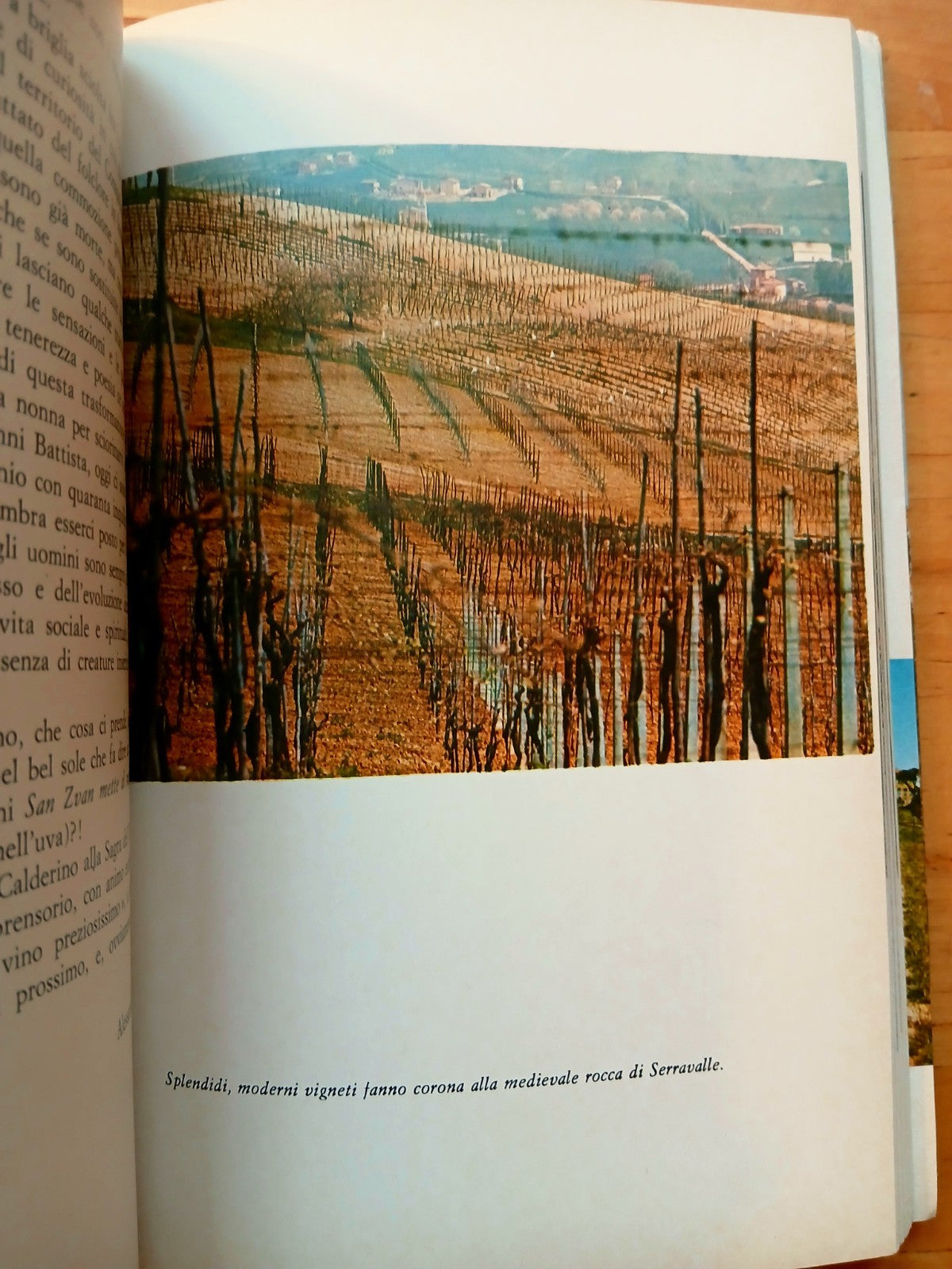 Monte San Pietro (Bologna) guida storica Enogastronomica agreste Colline occiden