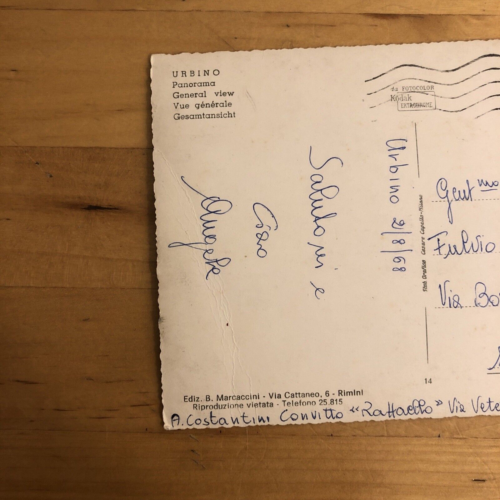 CARTOLINA - URBINO PANORAMA. VIAGGIATA