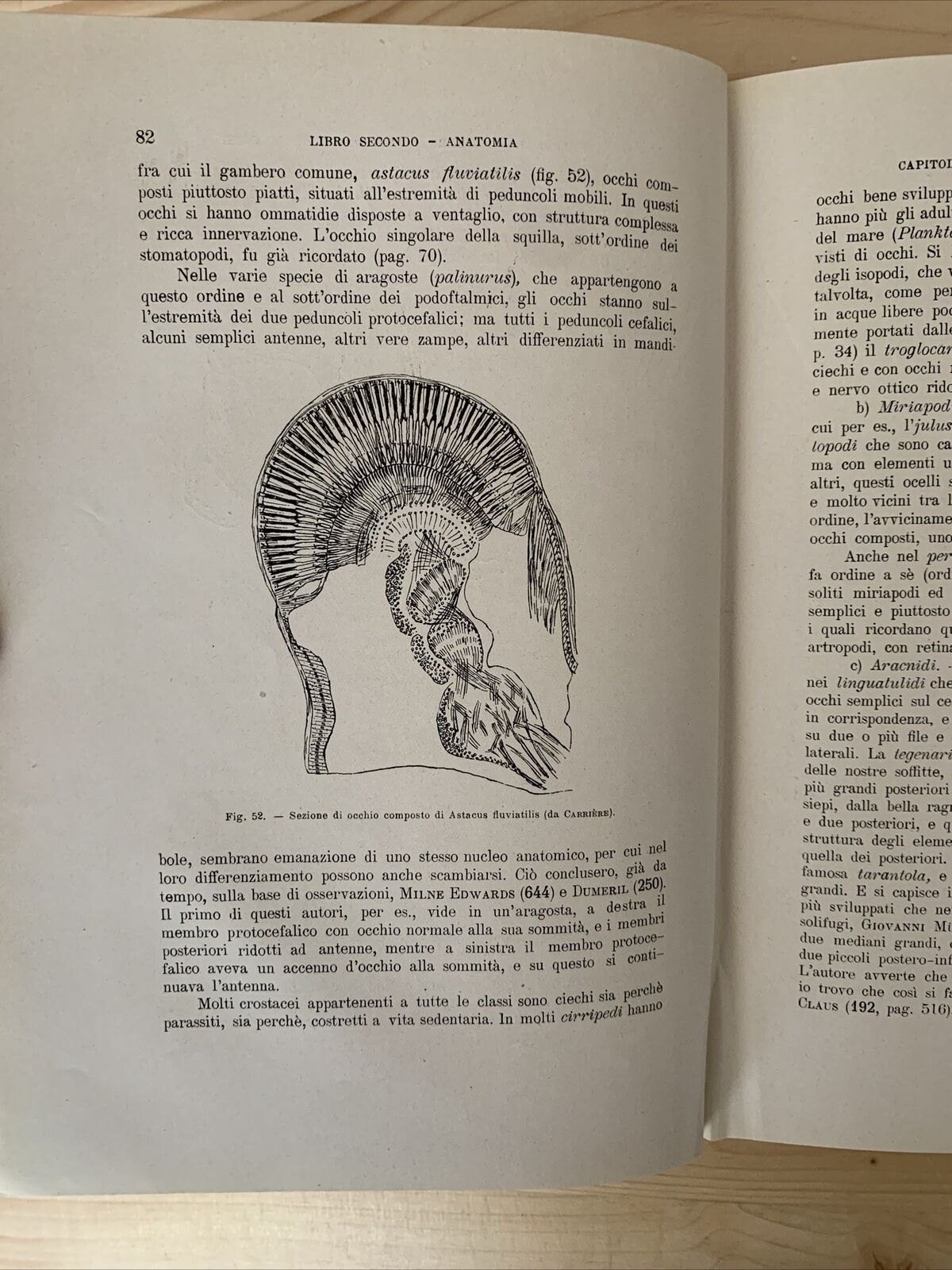 ANATOMIA E FISIOLOGIA DELL'OCCHIO NELLA SERIE ANIMALE - Giuseppe Ovio 1925 #