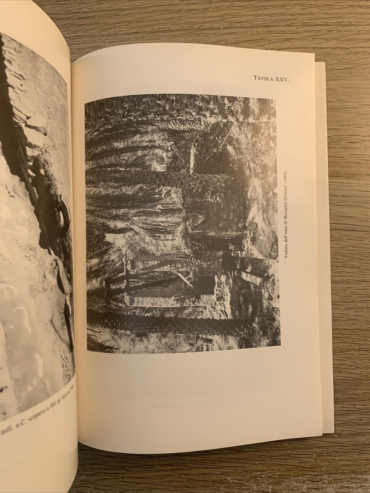 L'UOMO E L'AMBIENTE NELLA PENISOLA ARABA. PAOLO M. COSTA 1991 accademia Lincei