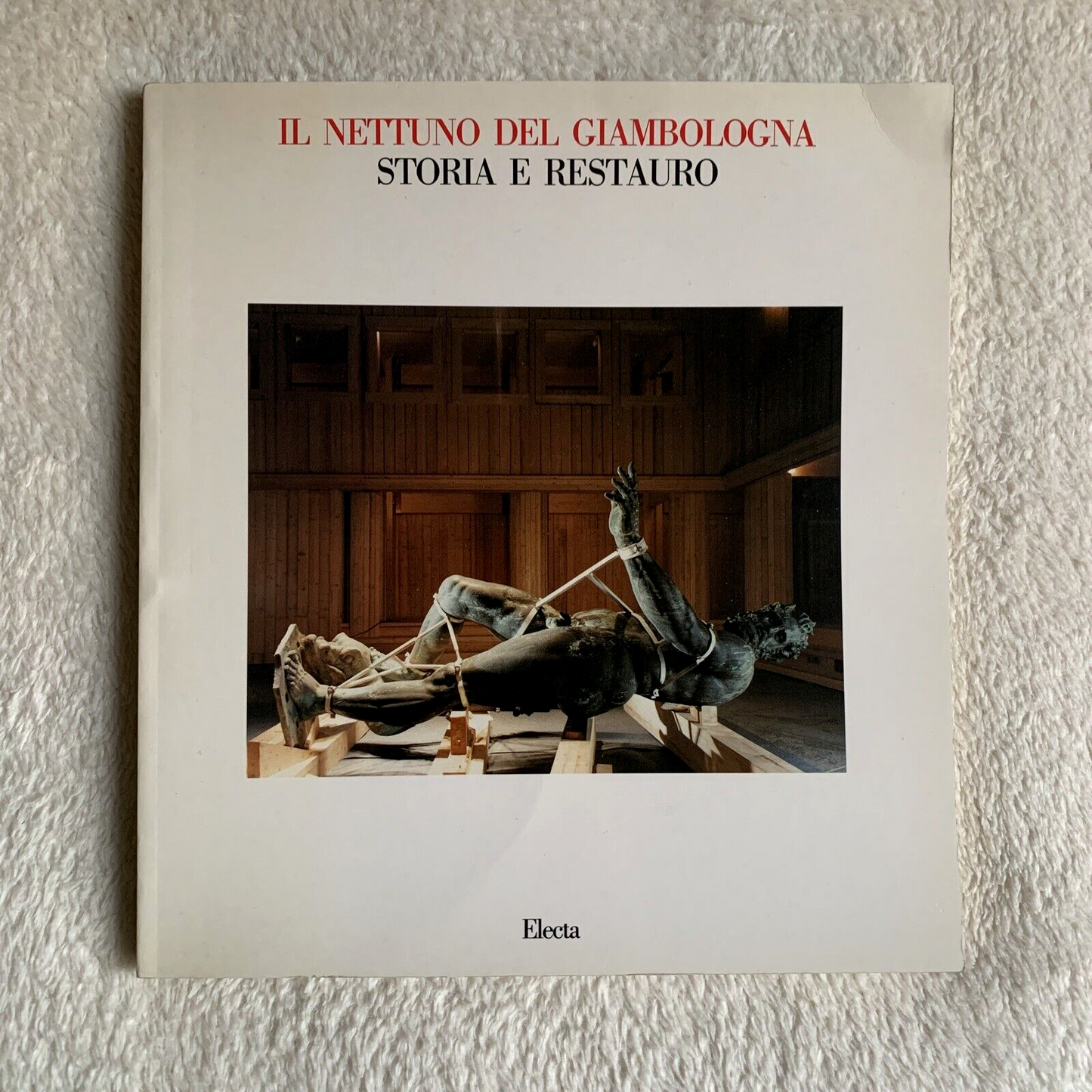 Il Nettuno del Giambologna storia e restauro. Electa 1989