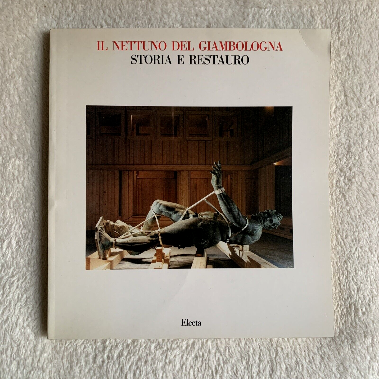 Il Nettuno del Giambologna storia e restauro. Electa 1989