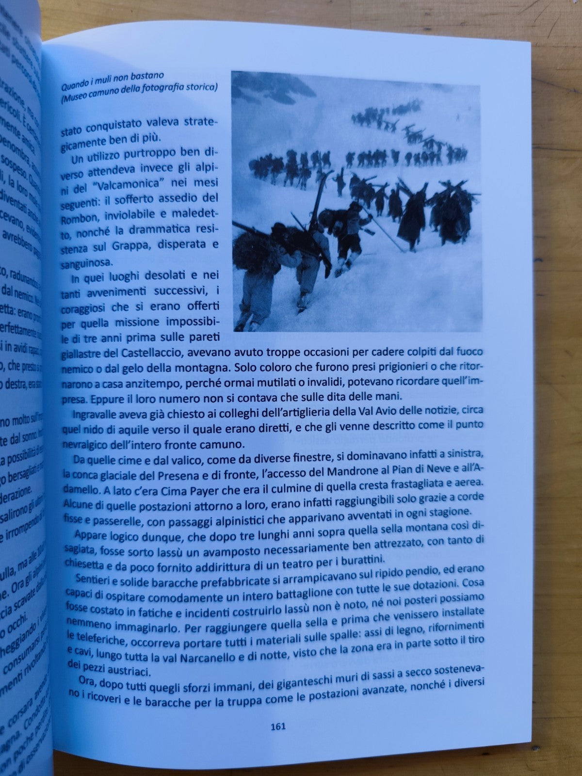 94 stelle Alpine sui prati del tonale - Sergio Boem, Rendena ed. 2021