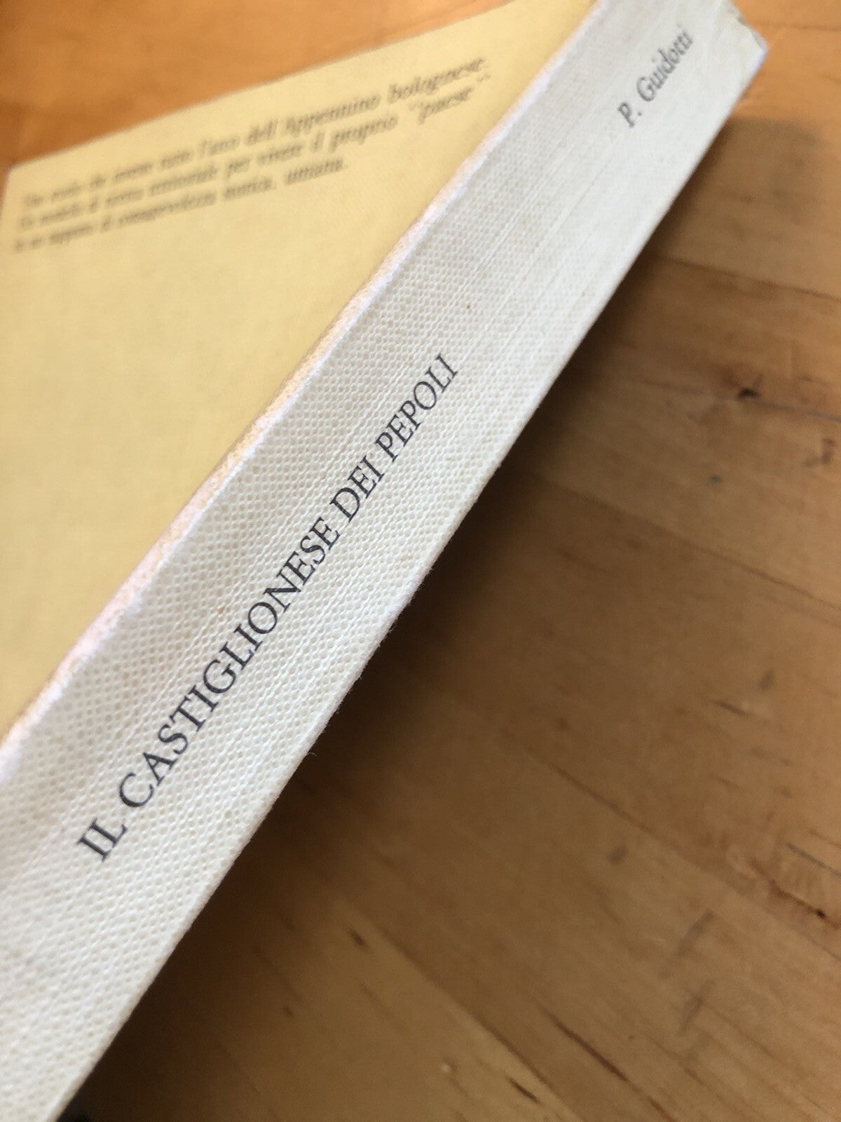 Il Castiglionese dei Pepoli (Castiglione dei Pepoli Bologna) Paolo Guidotti 1982