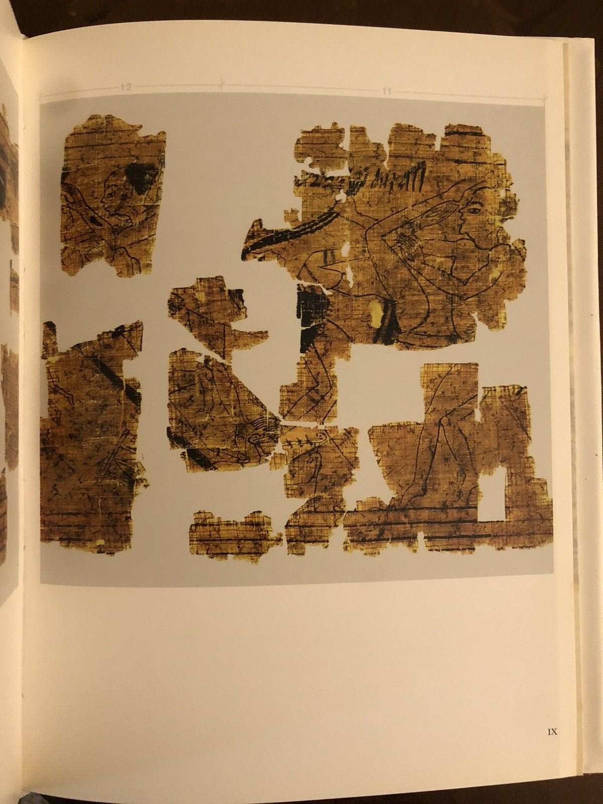 DER PAPYRUS 55001 und seine Satirisch-erotischen Zeichnungen und Inschriften