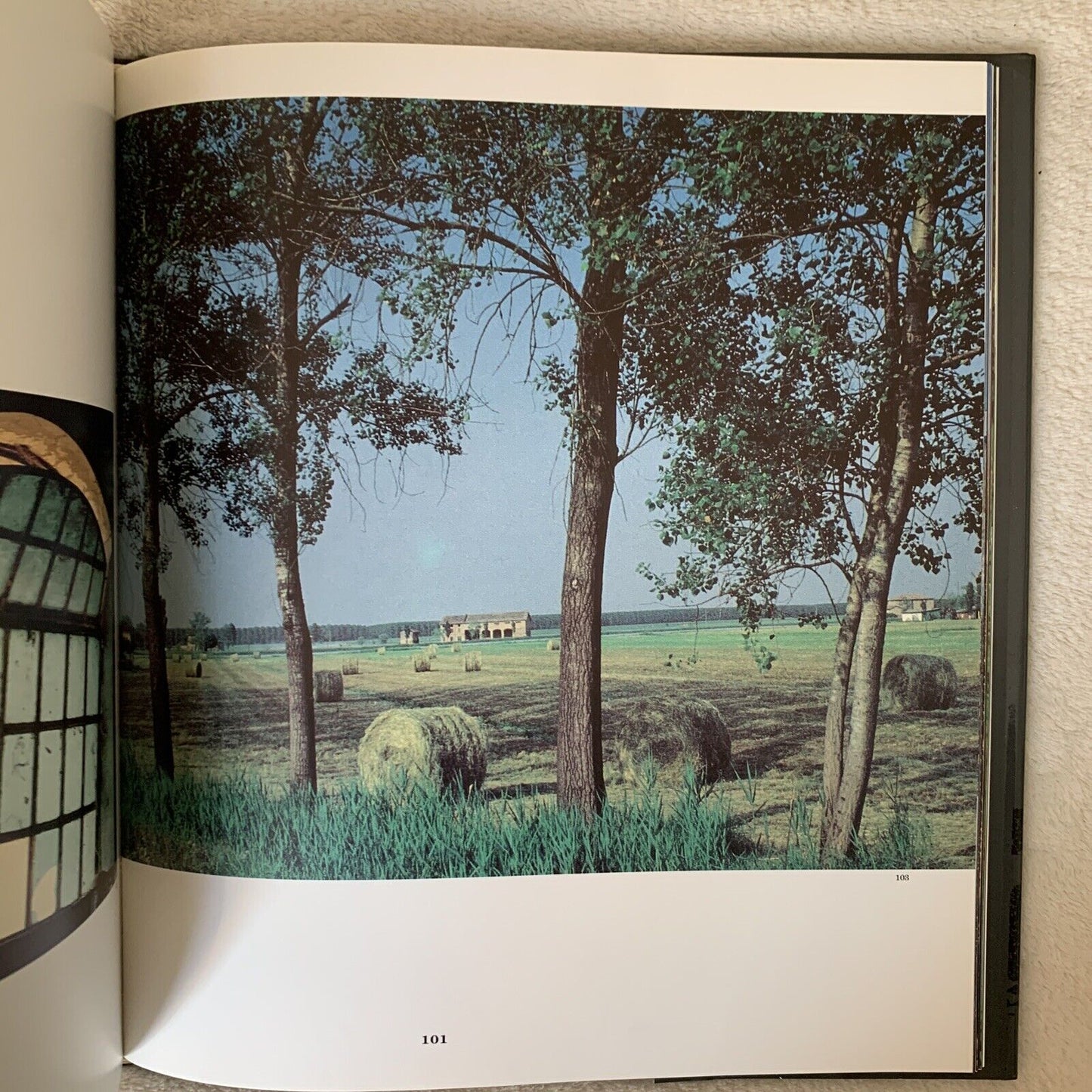 Novellara Gabriele Copellini (Bila) Elio Sellino editore 1993