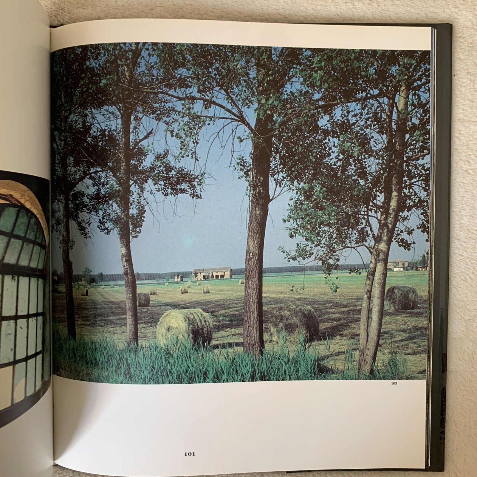 Novellara Gabriele Copellini (Bila) Elio Sellino editore 1993